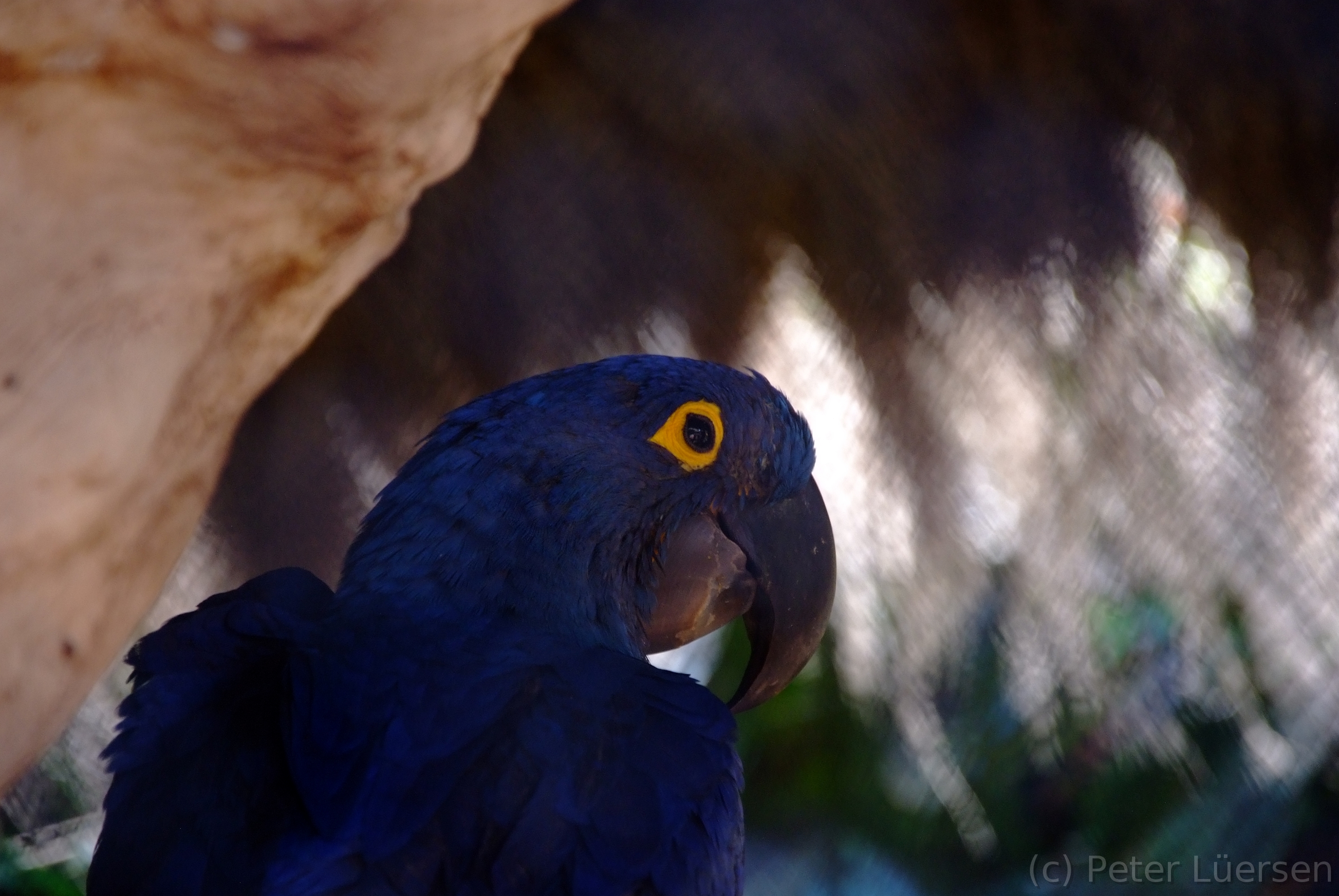 DSCF5808.JPG