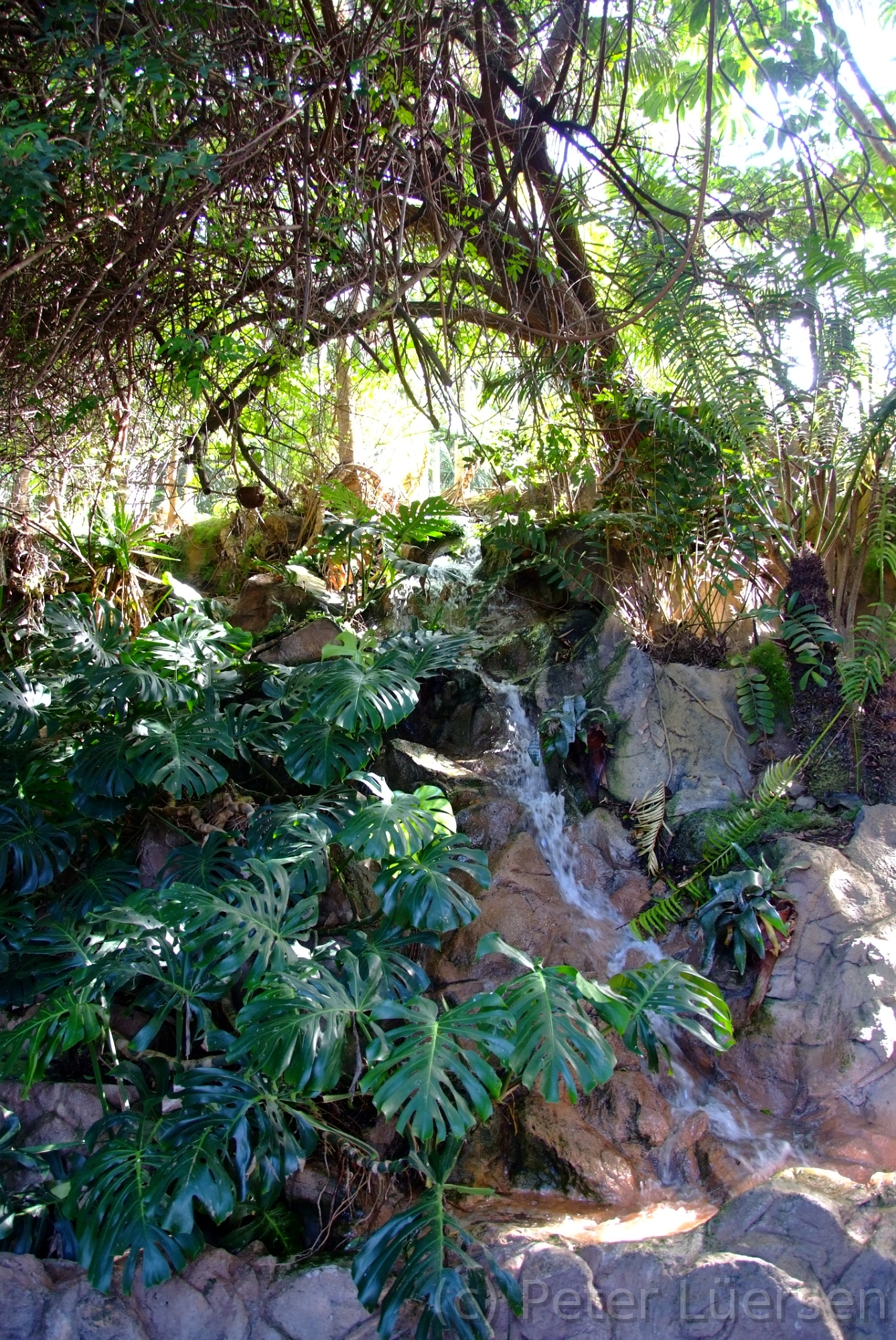 DSCF5813.JPG