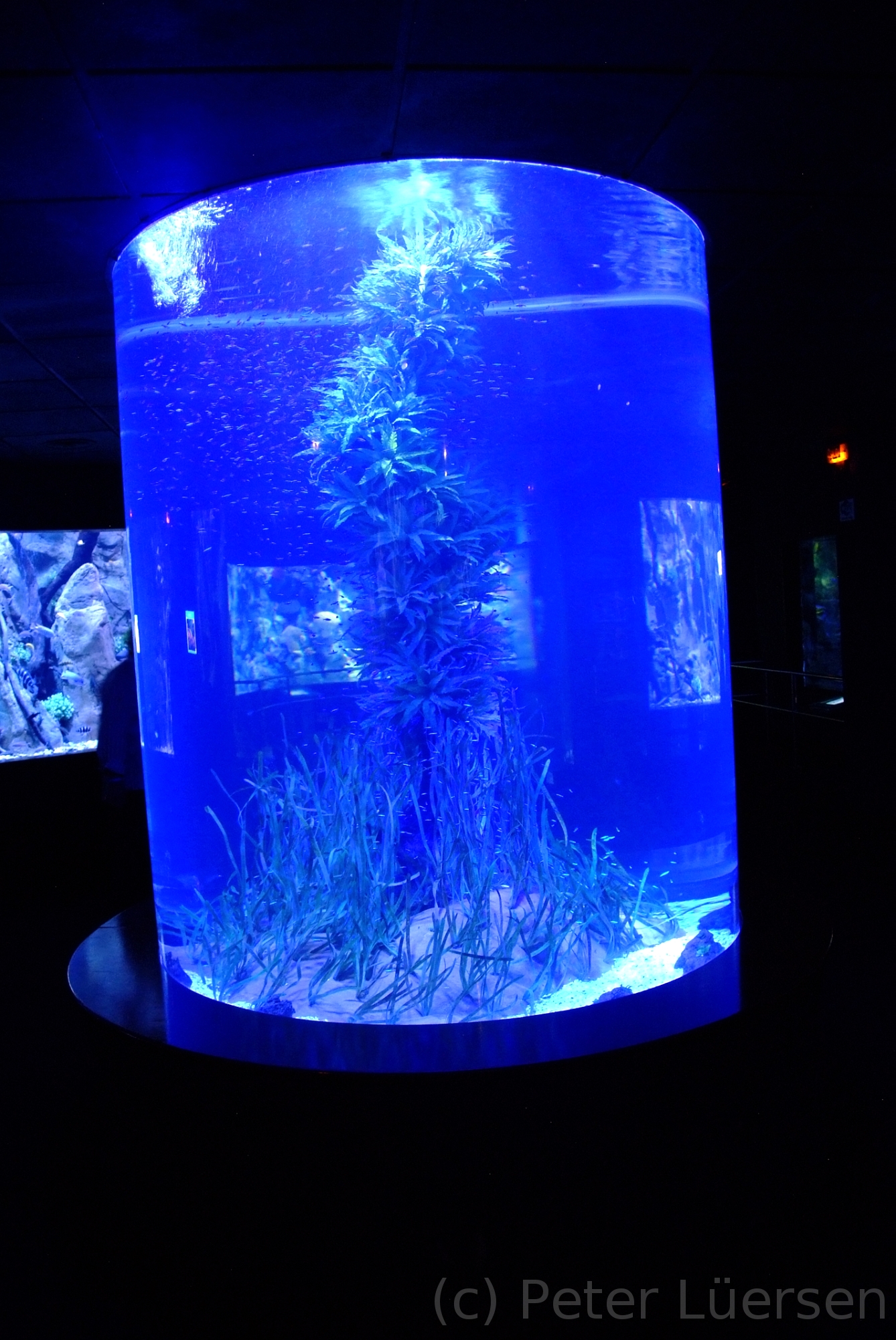 DSCF5818.JPG
