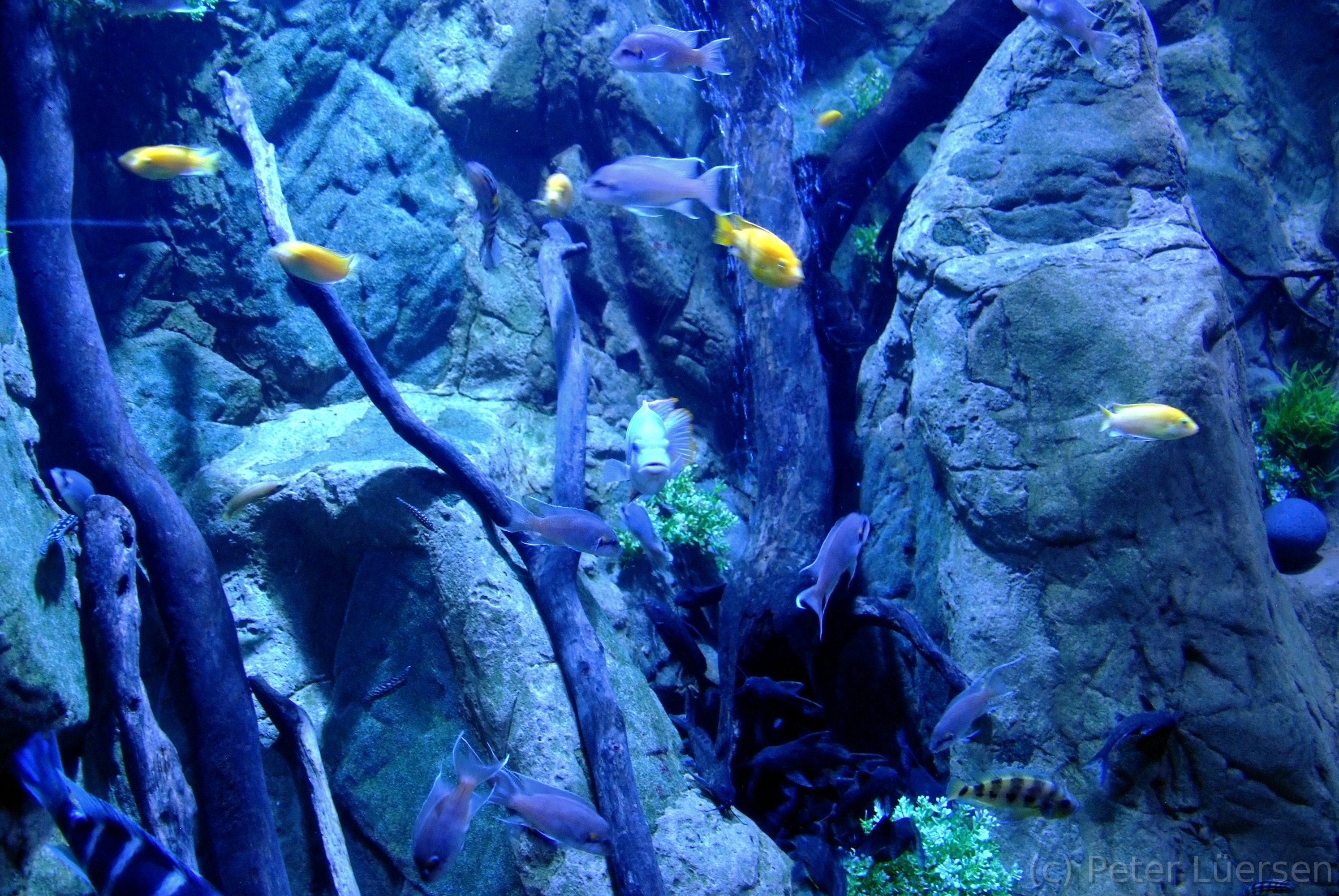 DSCF5822.JPG