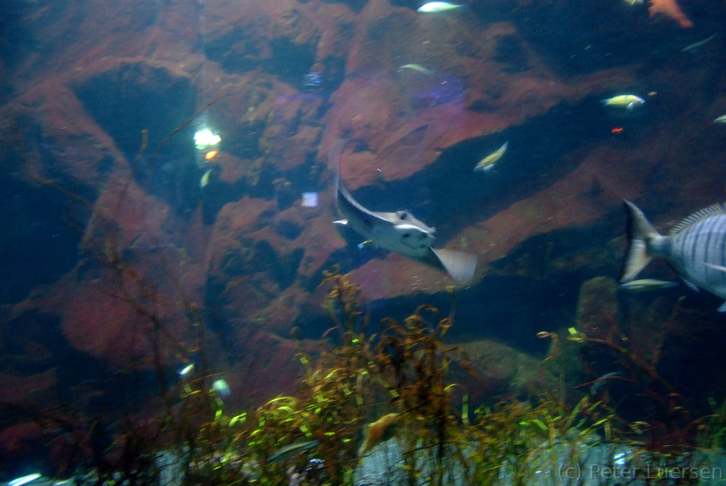 DSCF5825.JPG