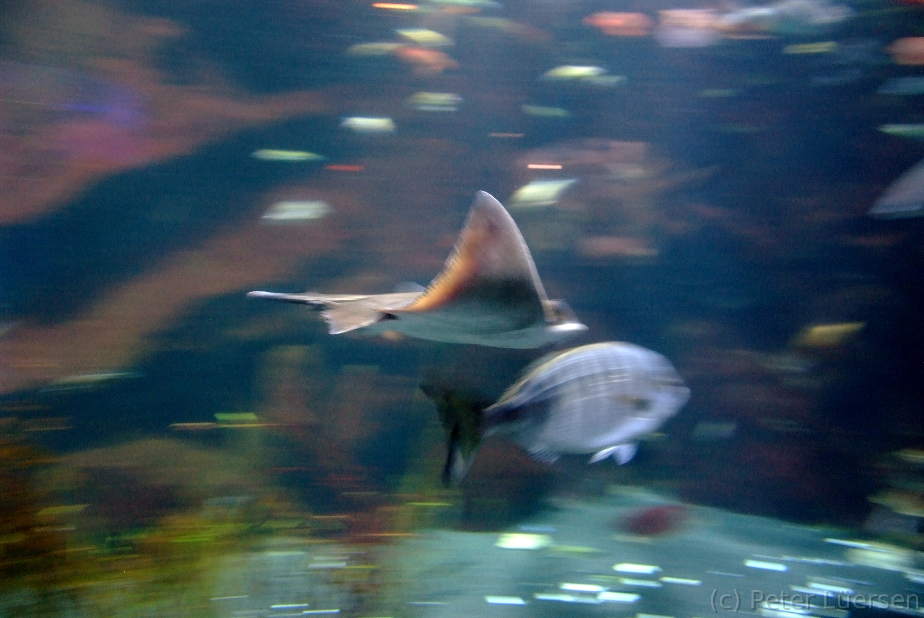 DSCF5826.JPG