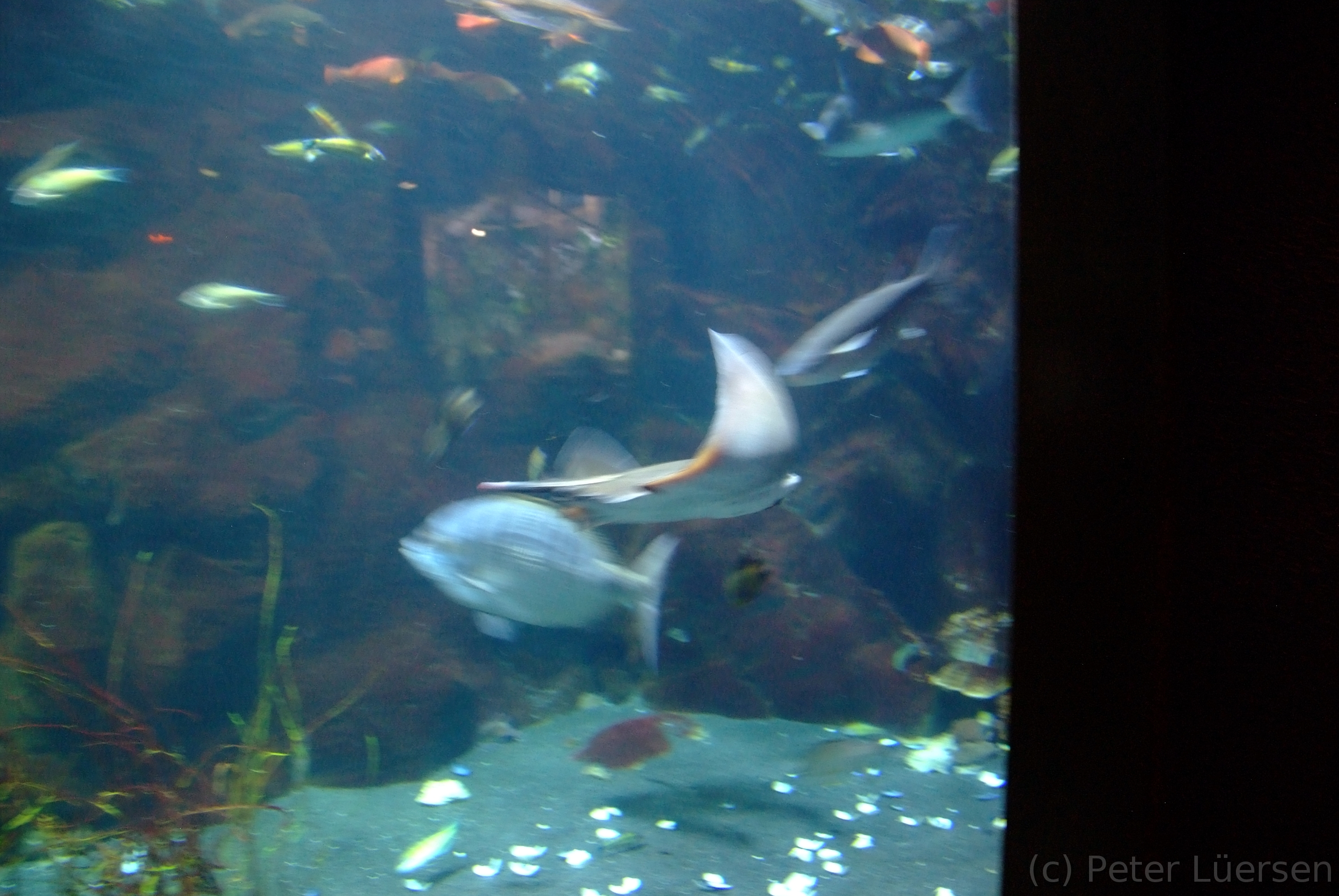 DSCF5827.JPG