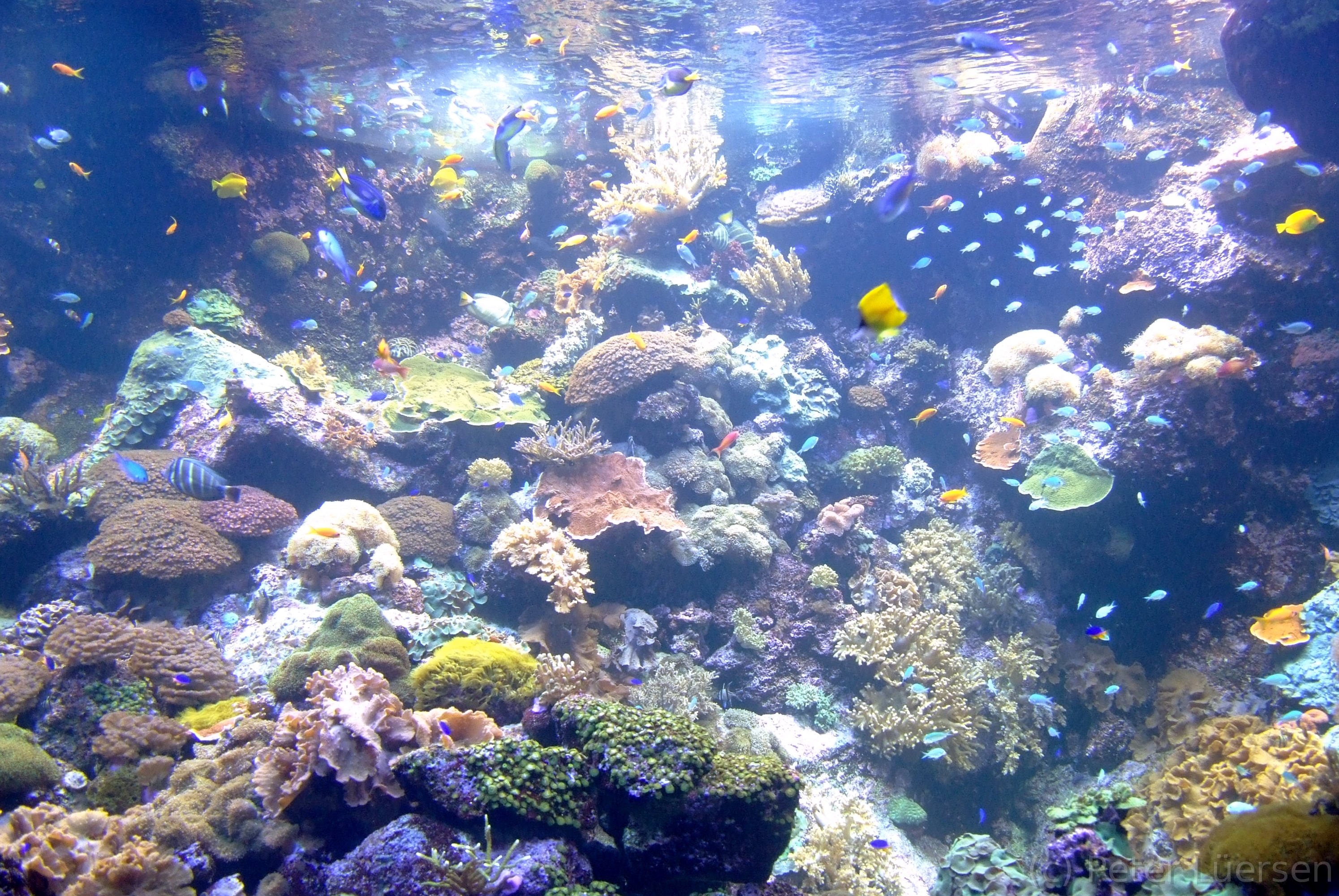 DSCF5832.JPG