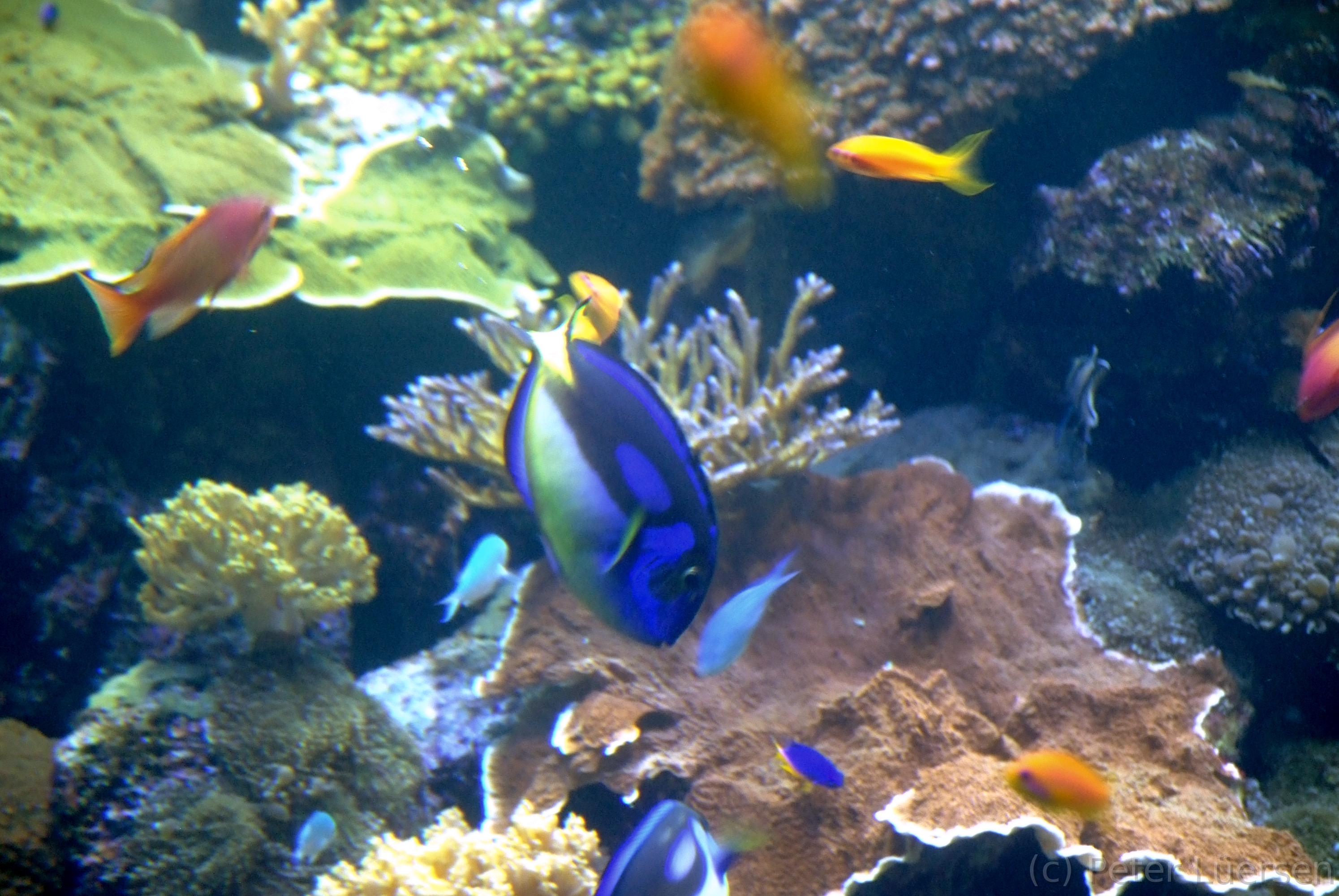 DSCF5833.JPG