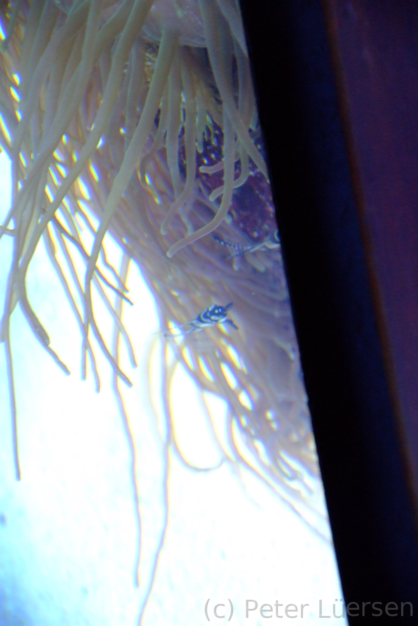 DSCF5834.JPG