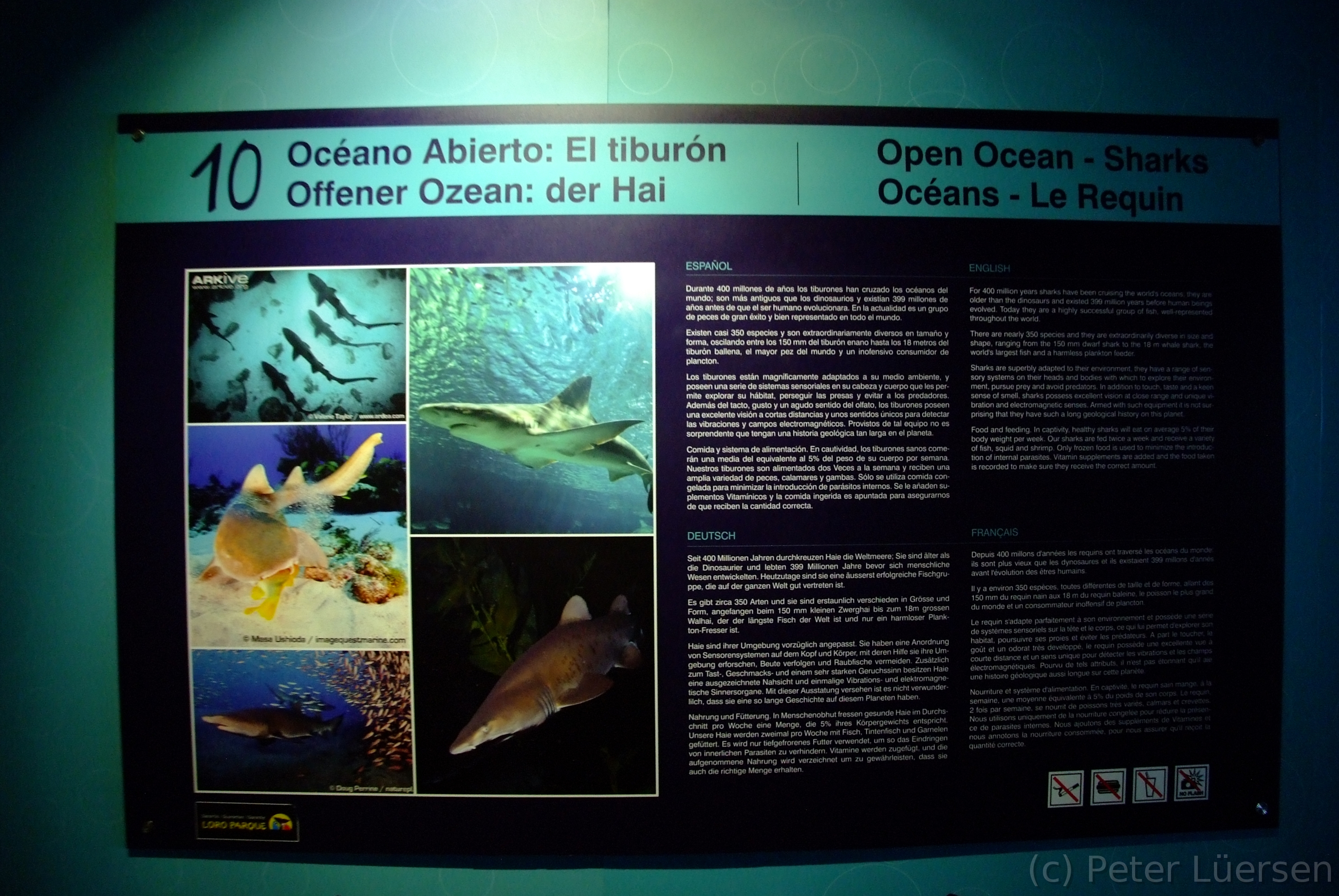 DSCF5837.JPG