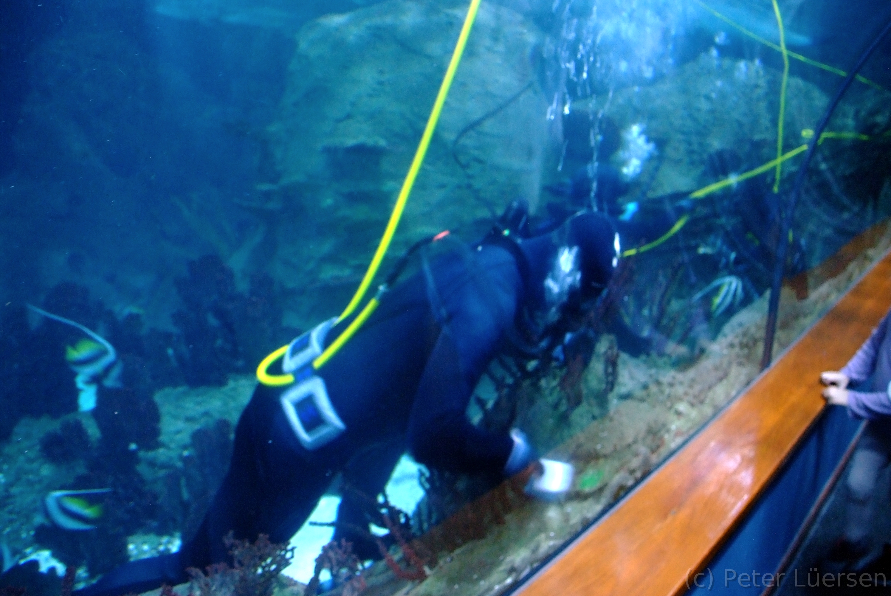DSCF5842.JPG