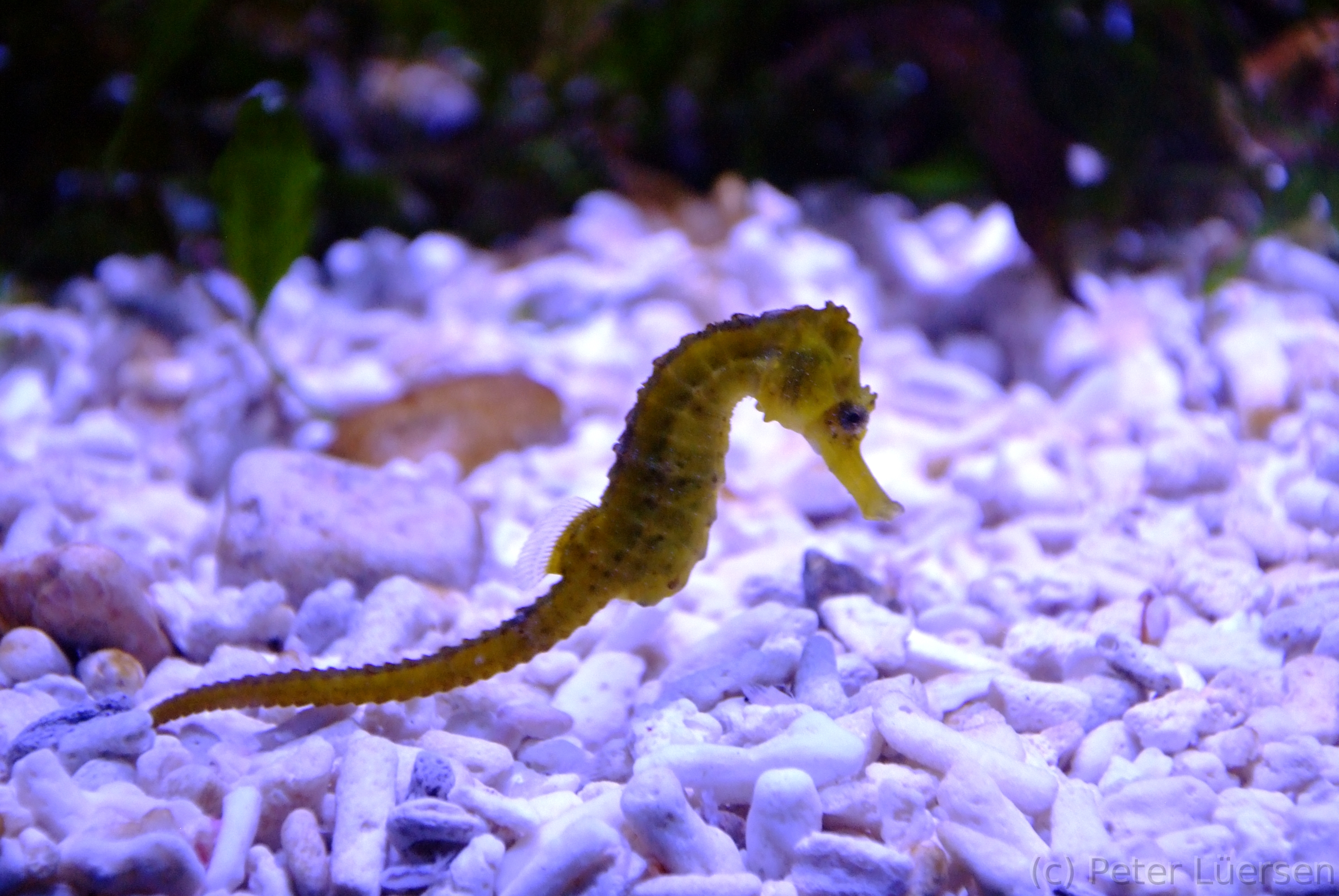DSCF5843.JPG