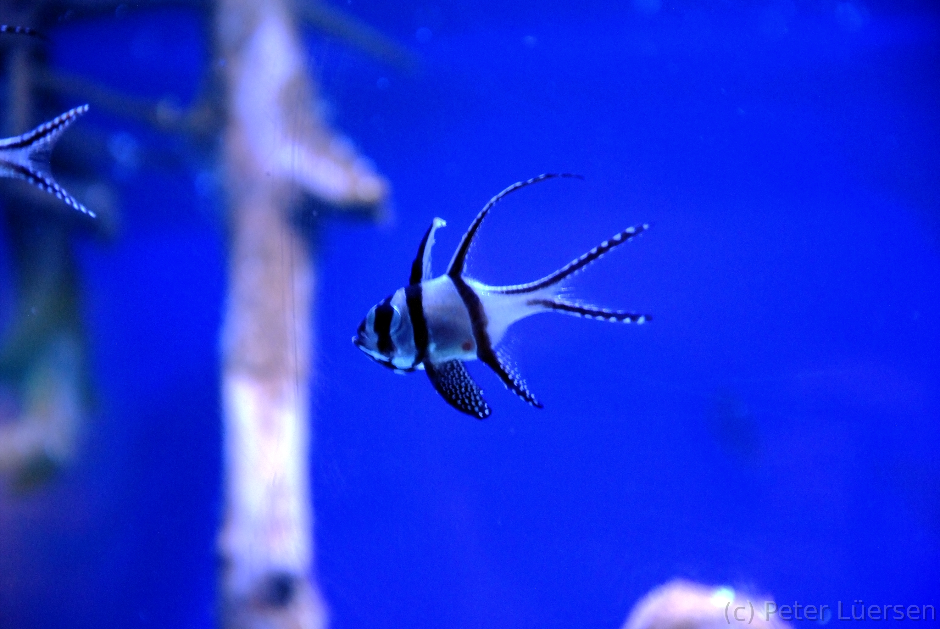 DSCF5848.JPG