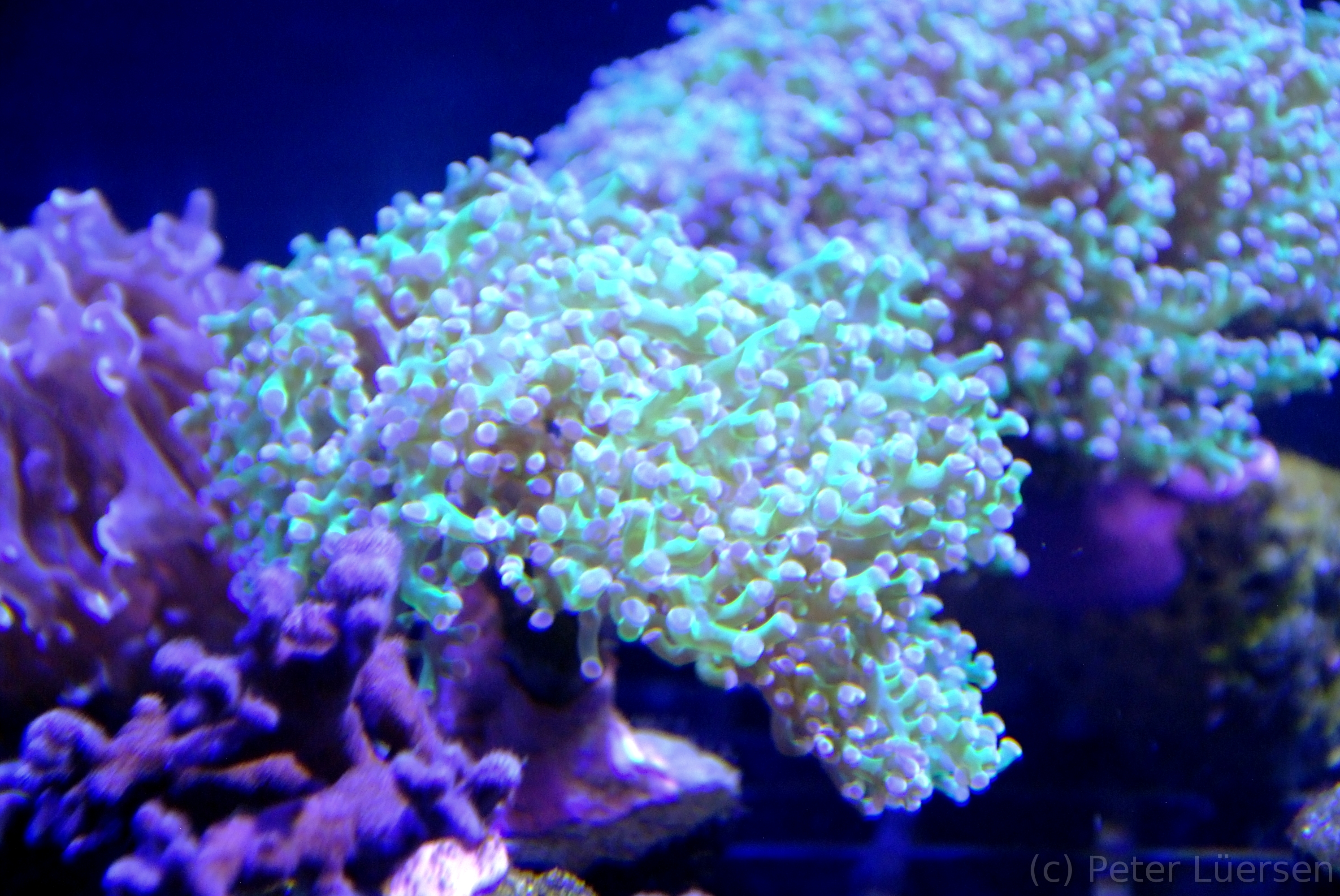 DSCF5851.JPG