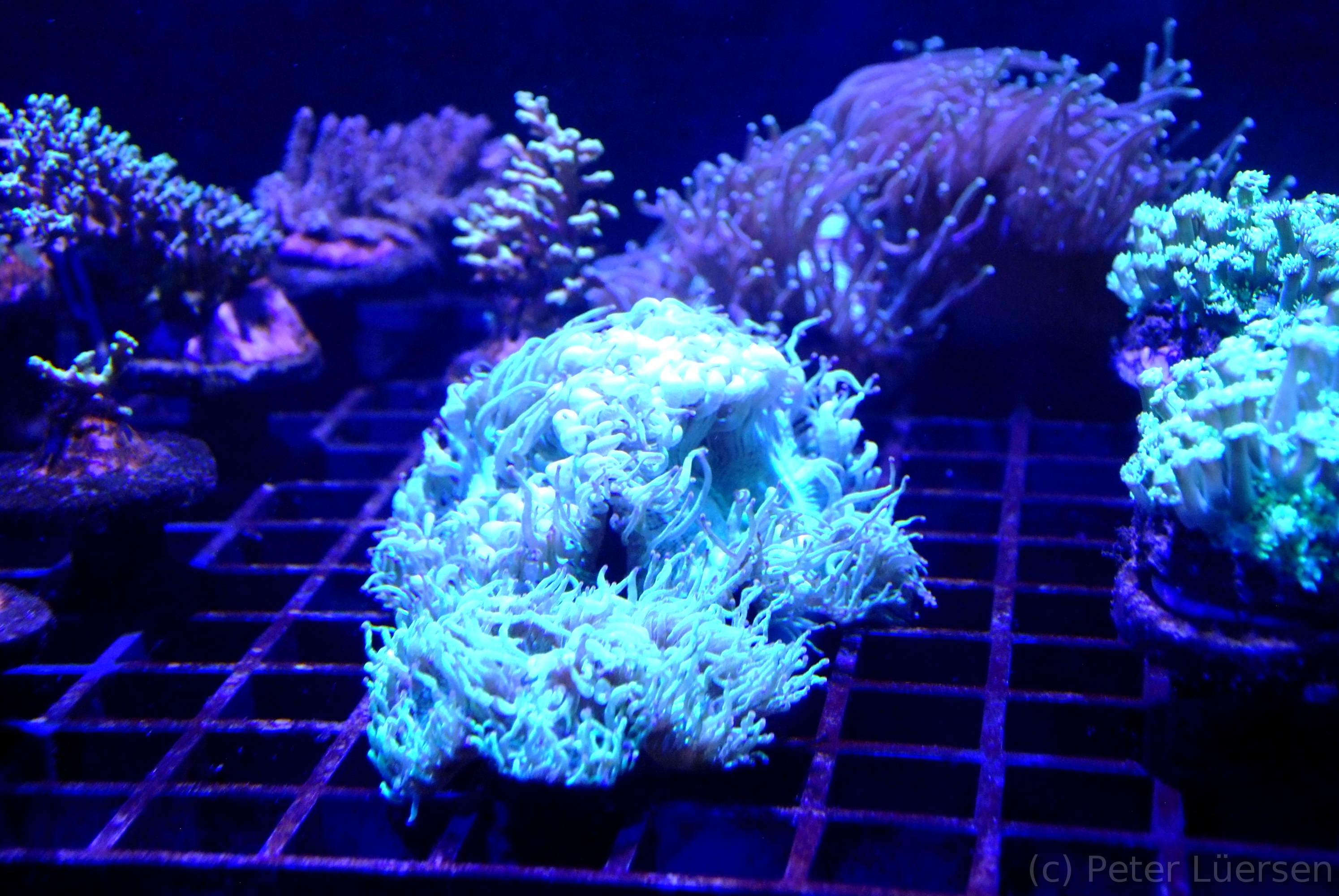 DSCF5852.JPG