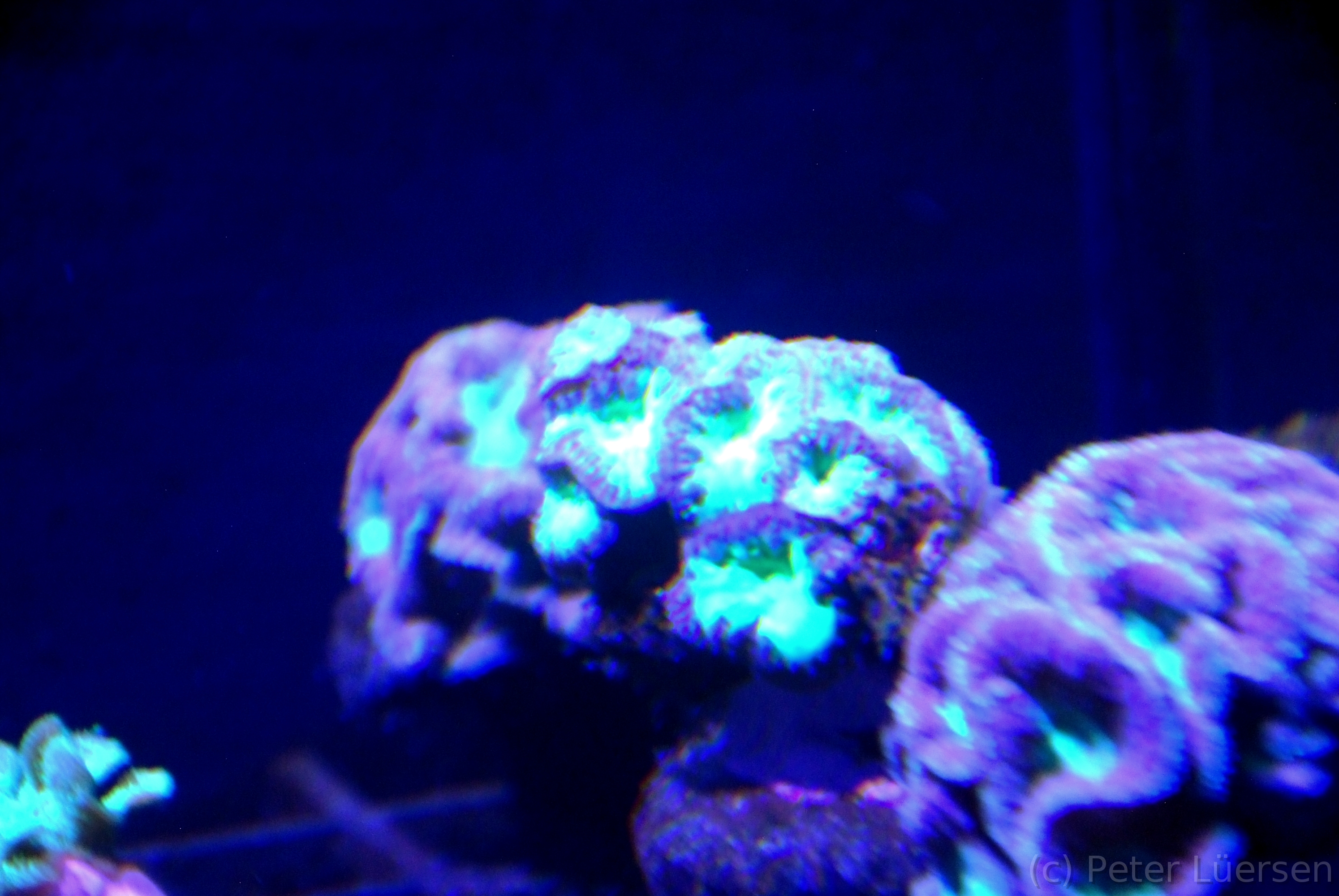 DSCF5853.JPG