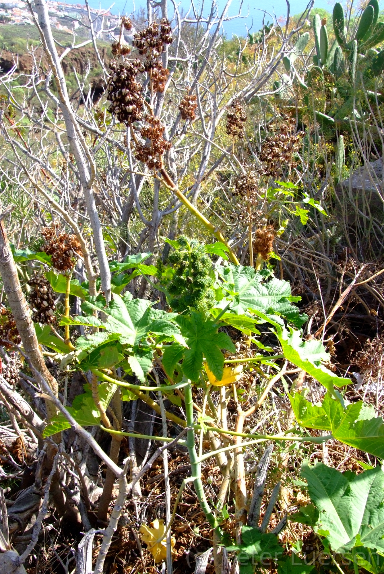DSCF5859.JPG