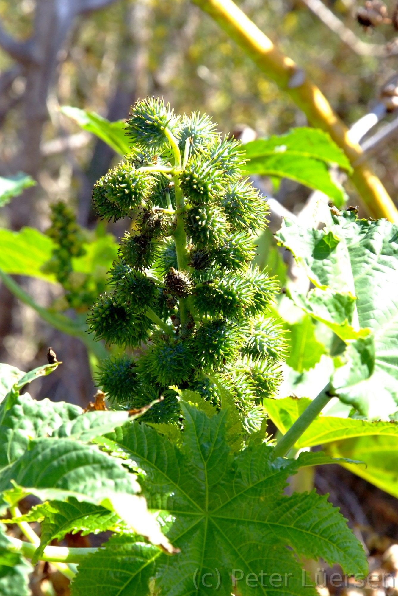 DSCF5861.JPG