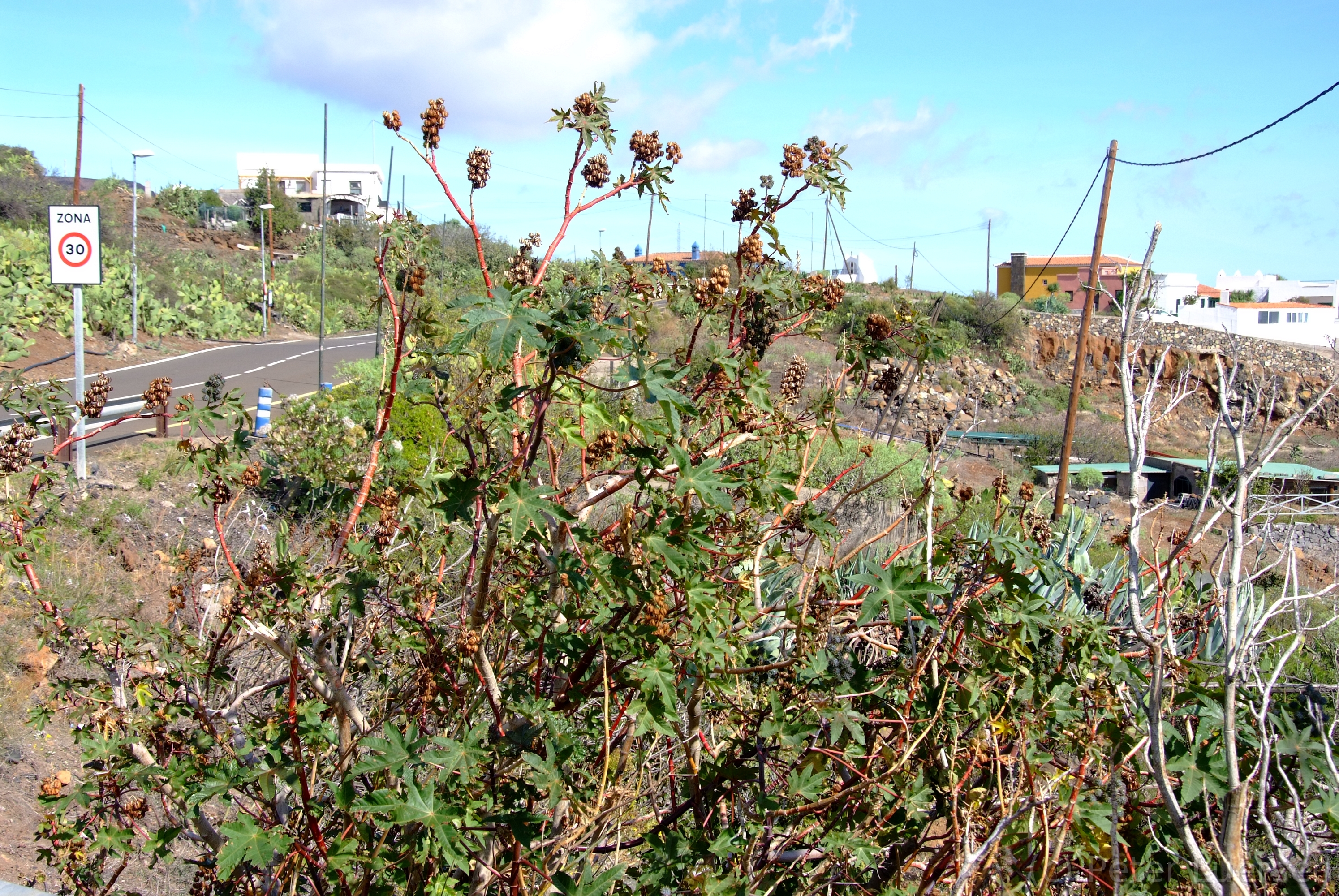 DSCF5863.JPG