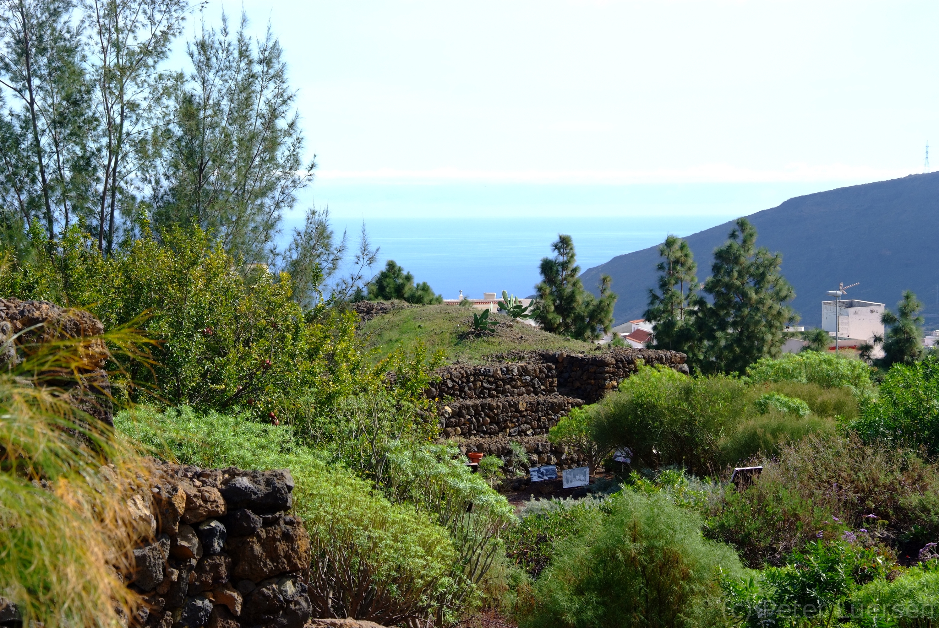DSCF5877.JPG