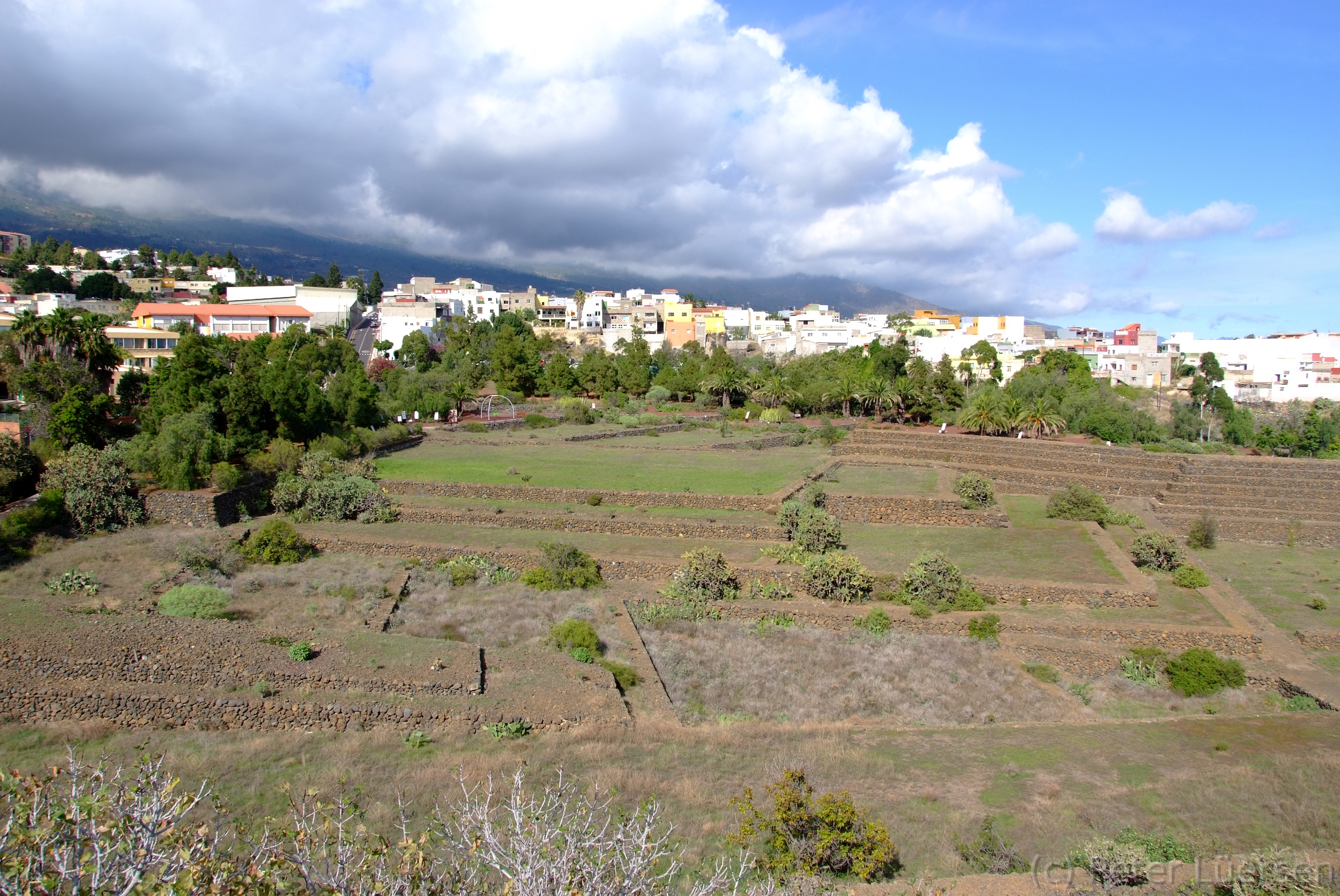 DSCF5885.JPG