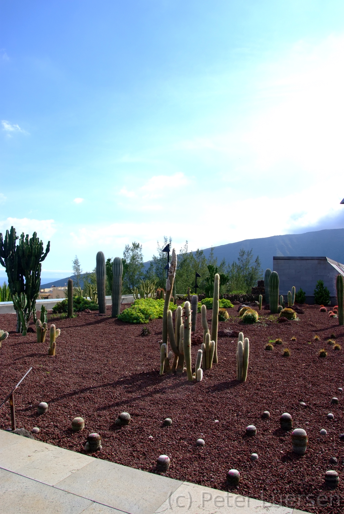 DSCF5887.JPG