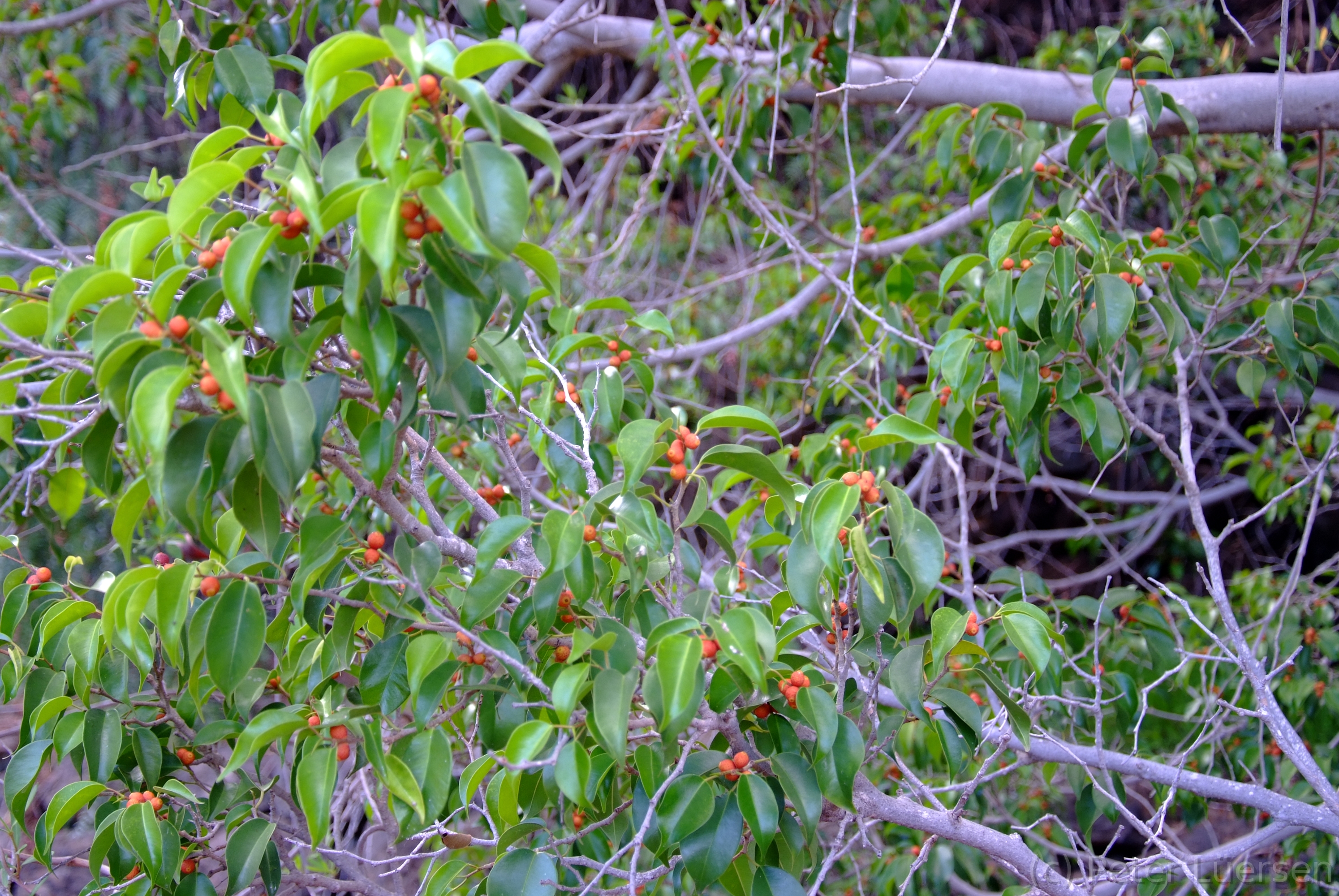 DSCF5891.JPG