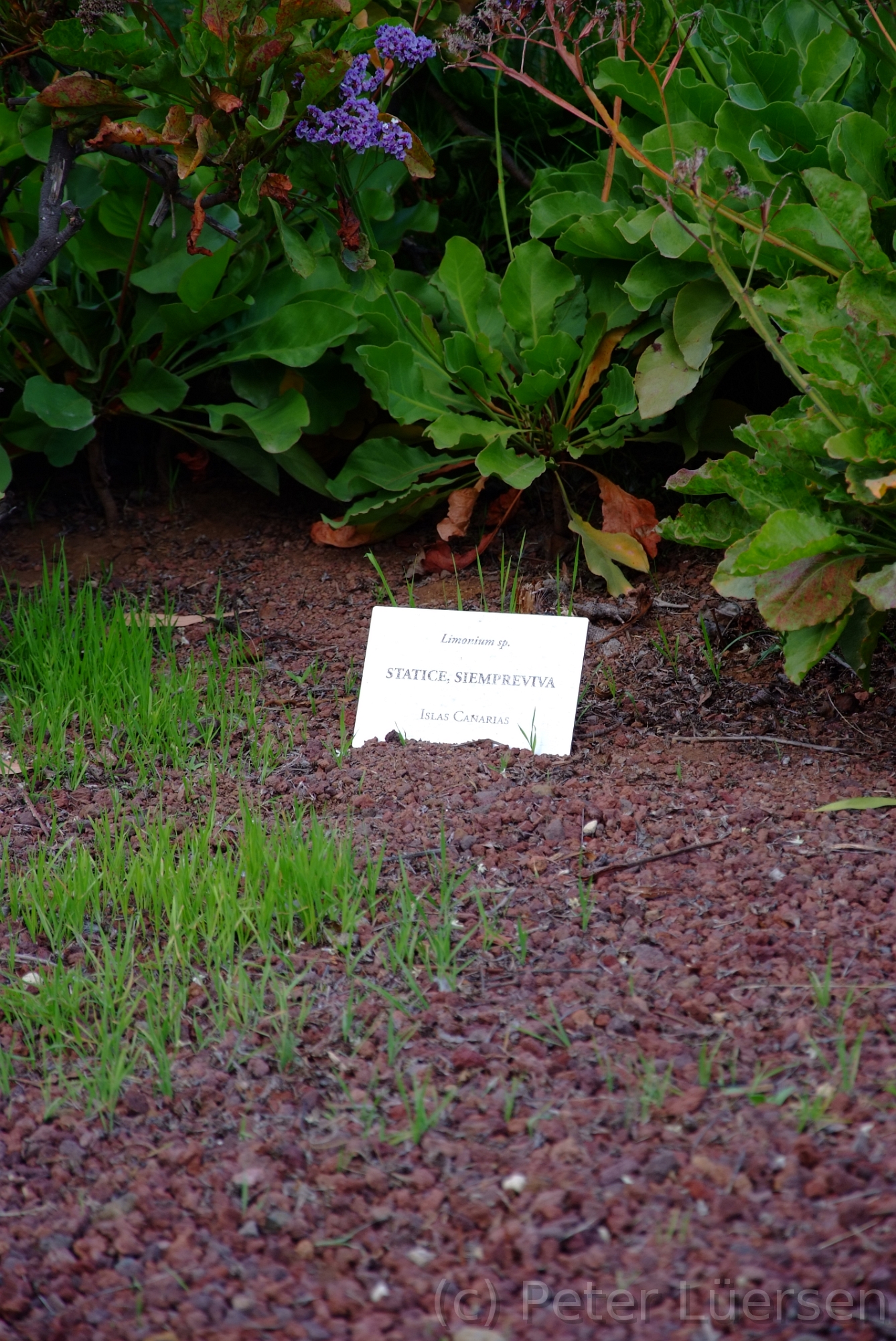 DSCF5903.JPG