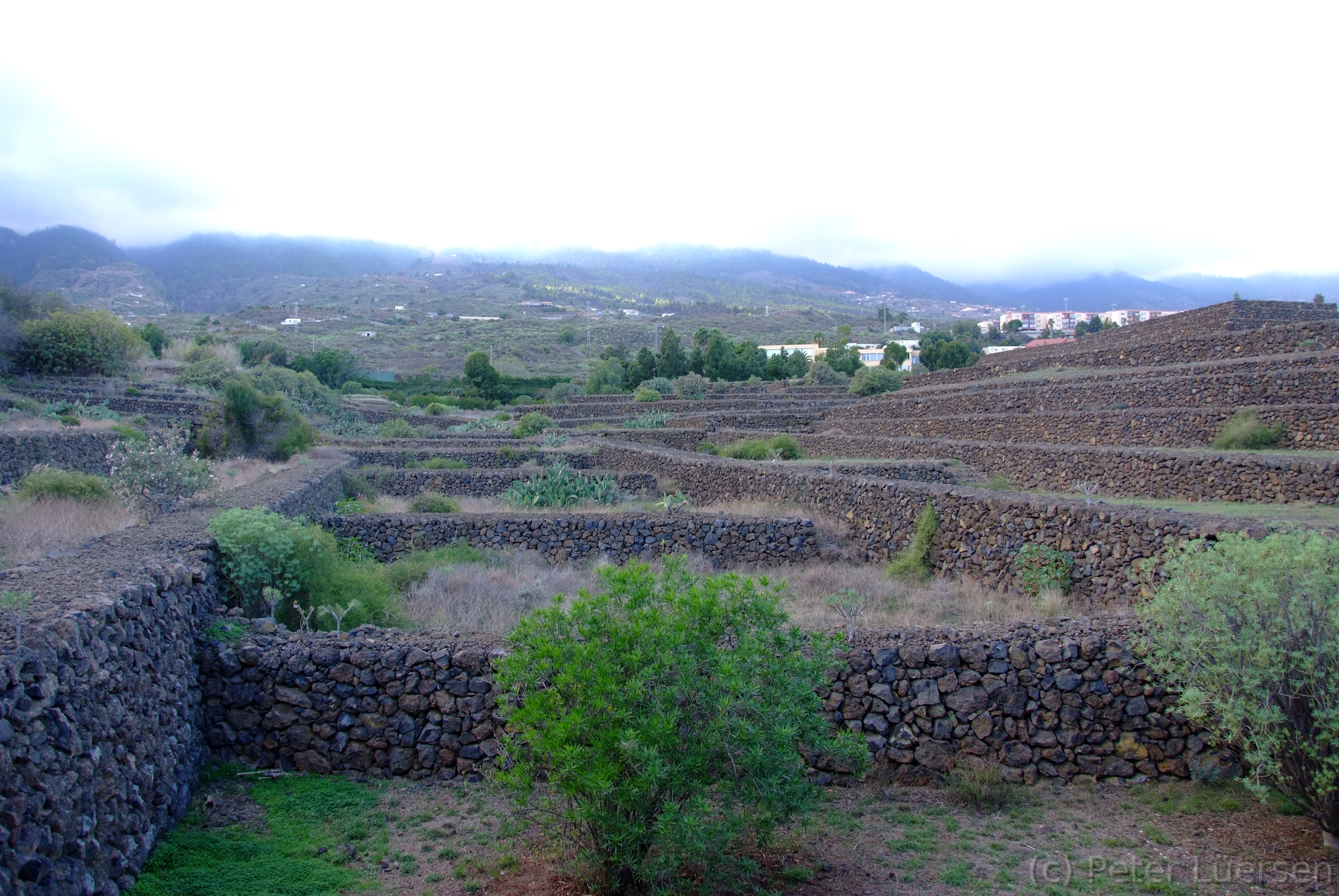 DSCF5911.JPG