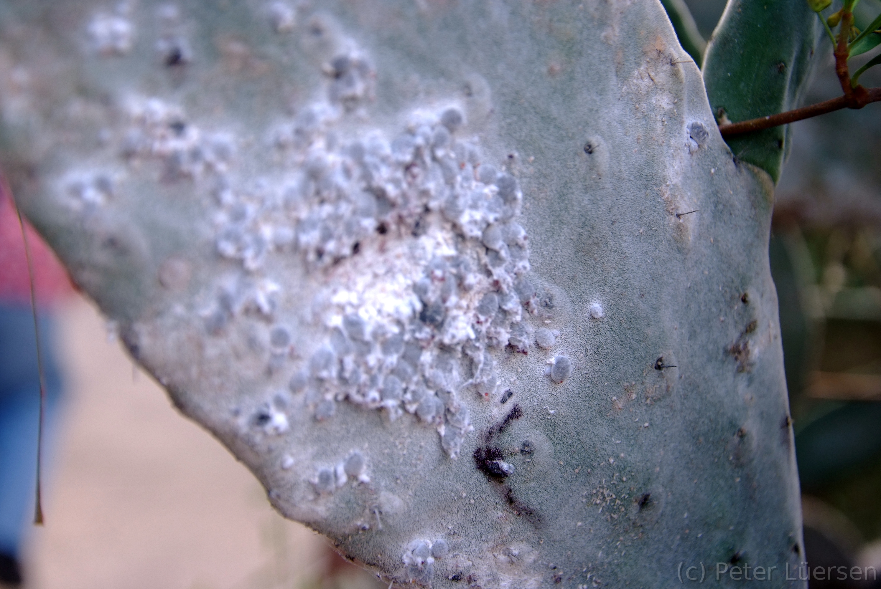 DSCF5912.JPG
