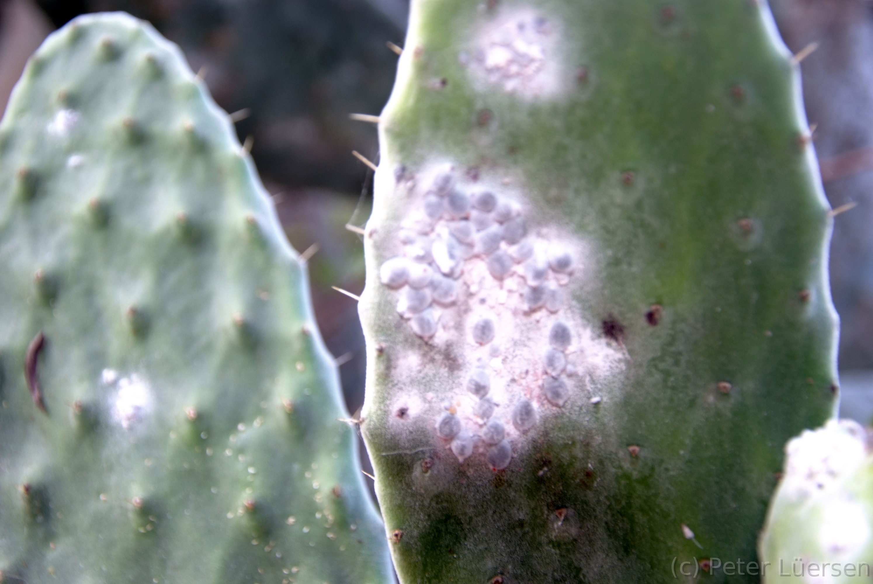 DSCF5913.JPG