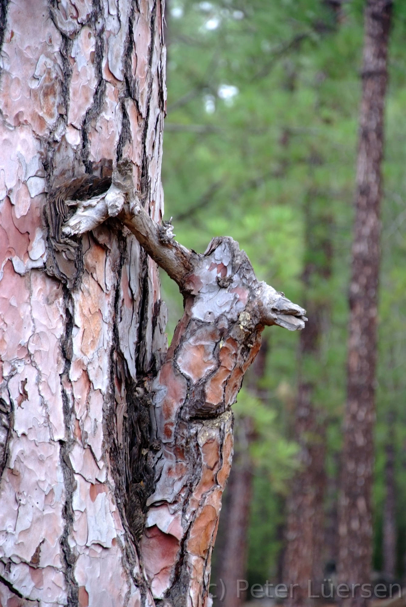DSCF5926.JPG
