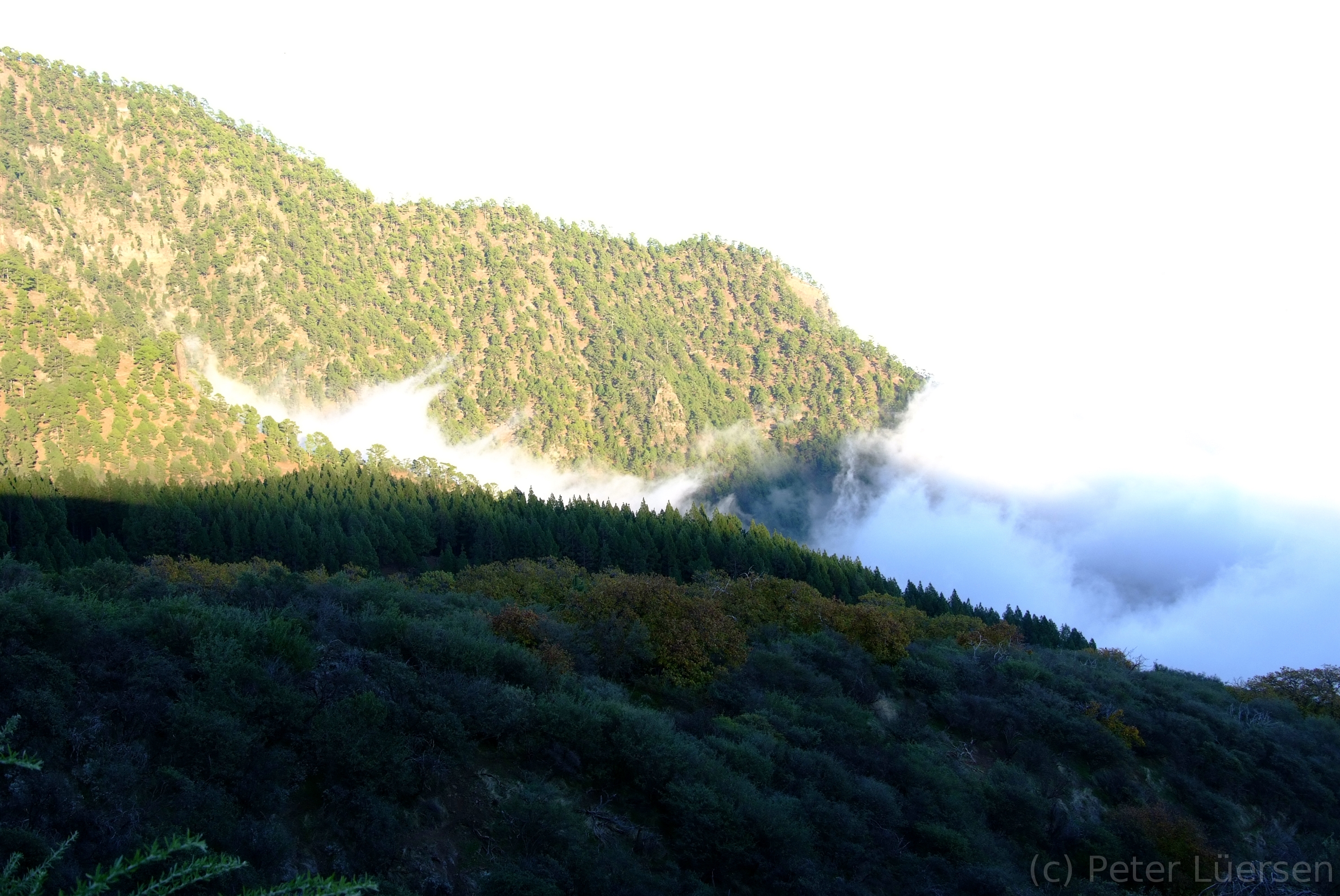 DSCF5927.JPG