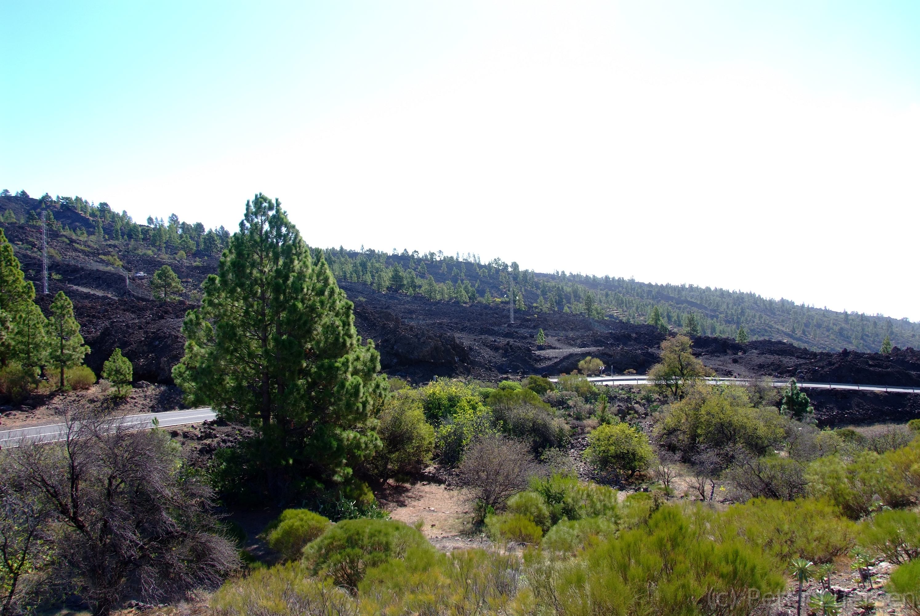 DSCF5149.JPG