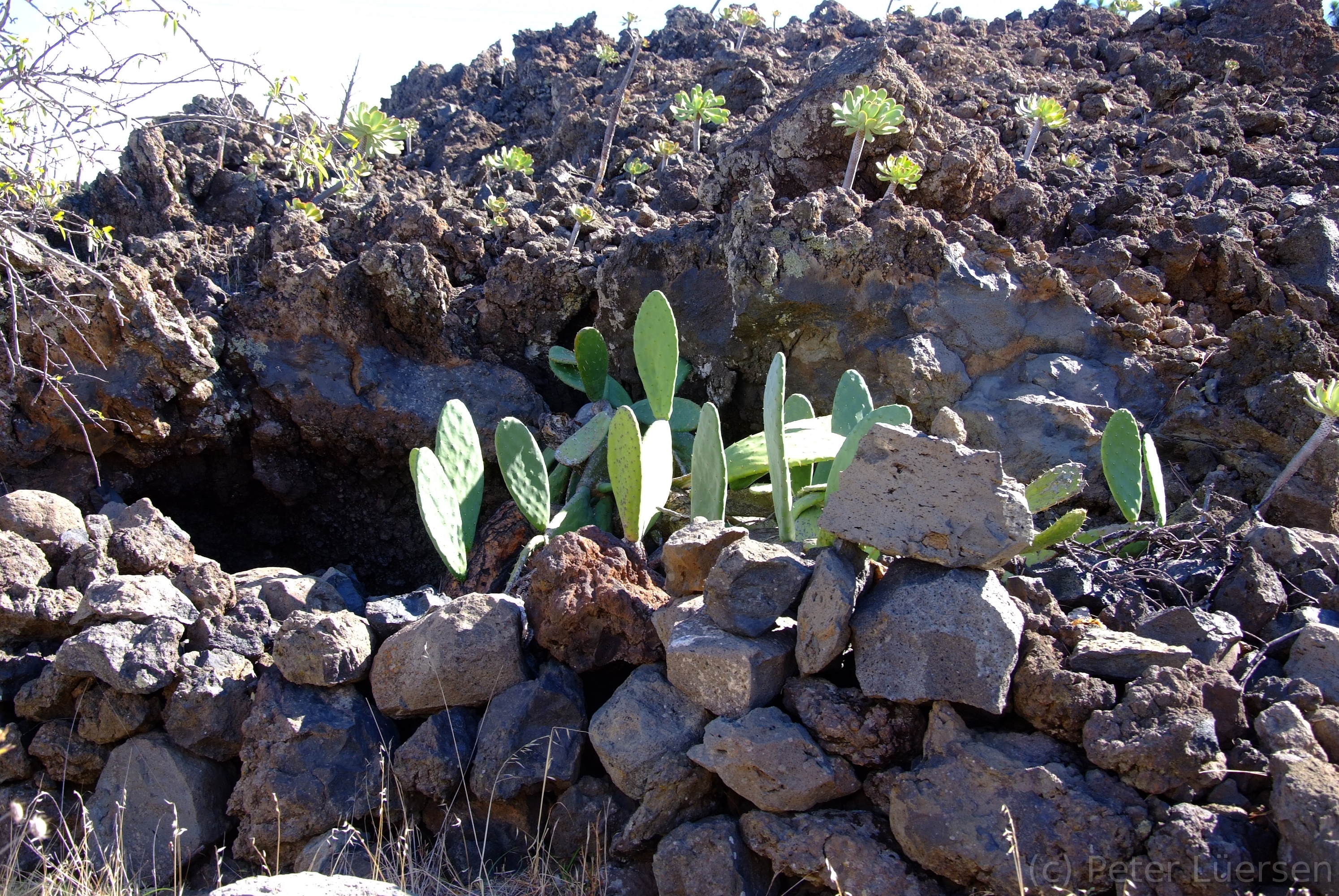 DSCF5157.JPG