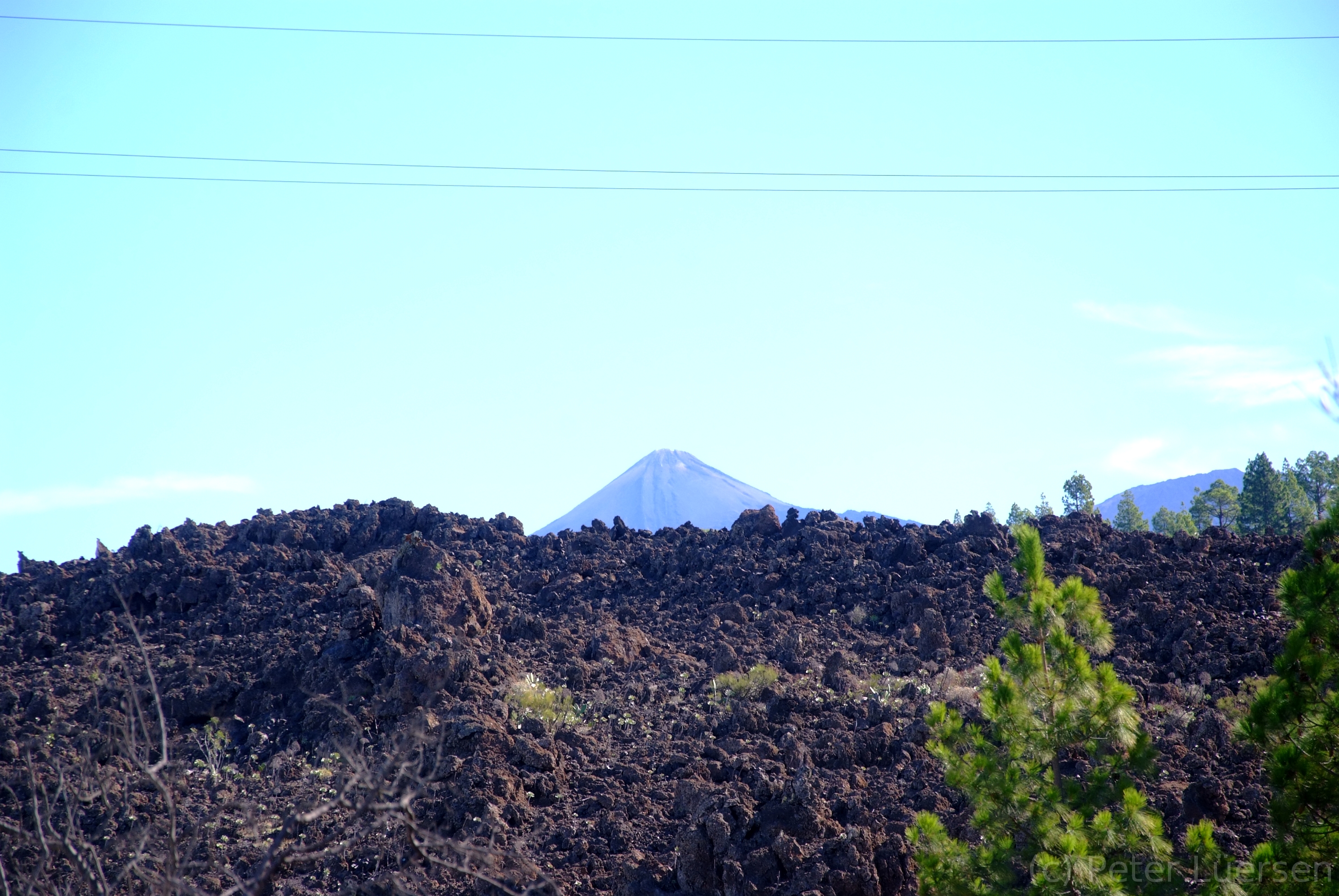 DSCF5158.JPG