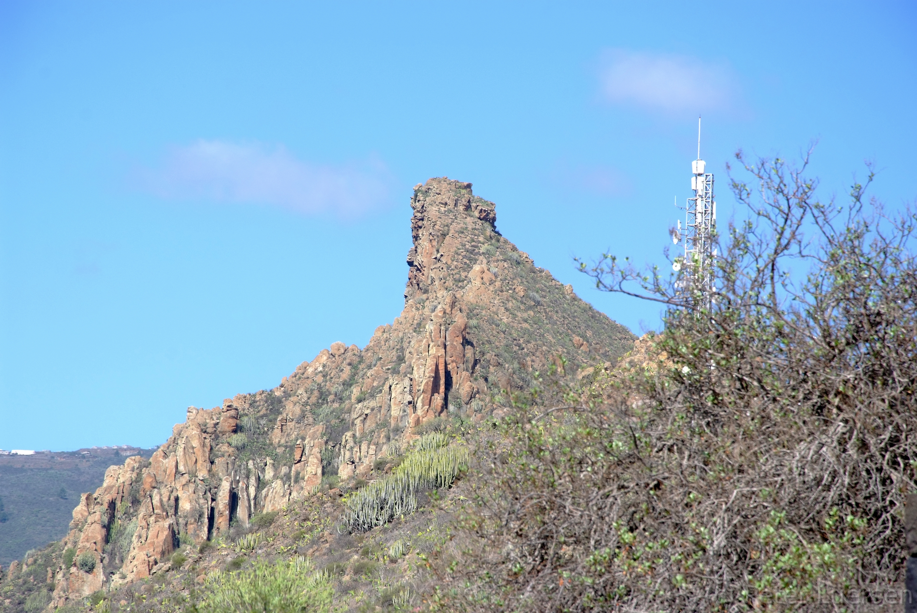 DSCF5180.JPG