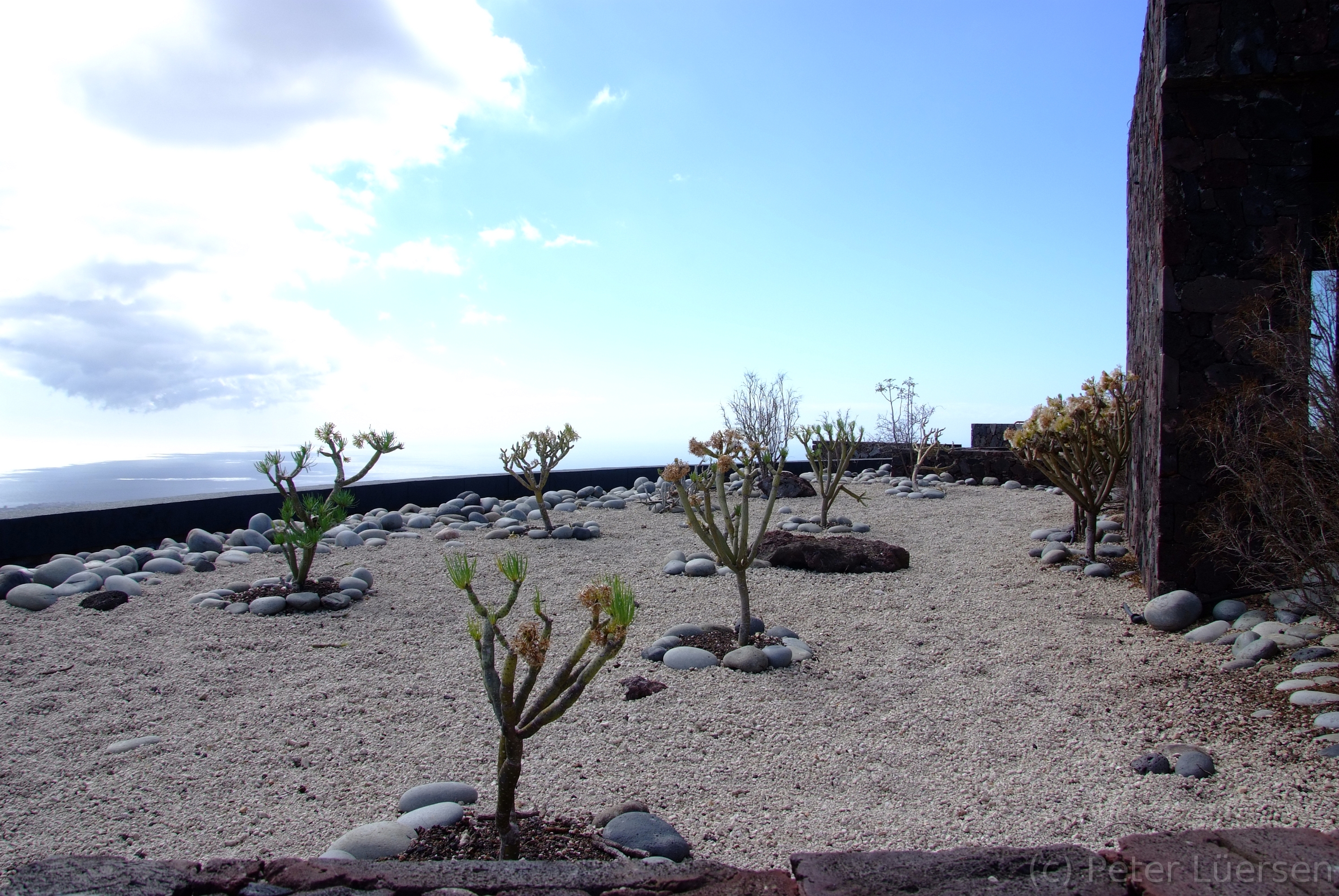 DSCF5188.JPG