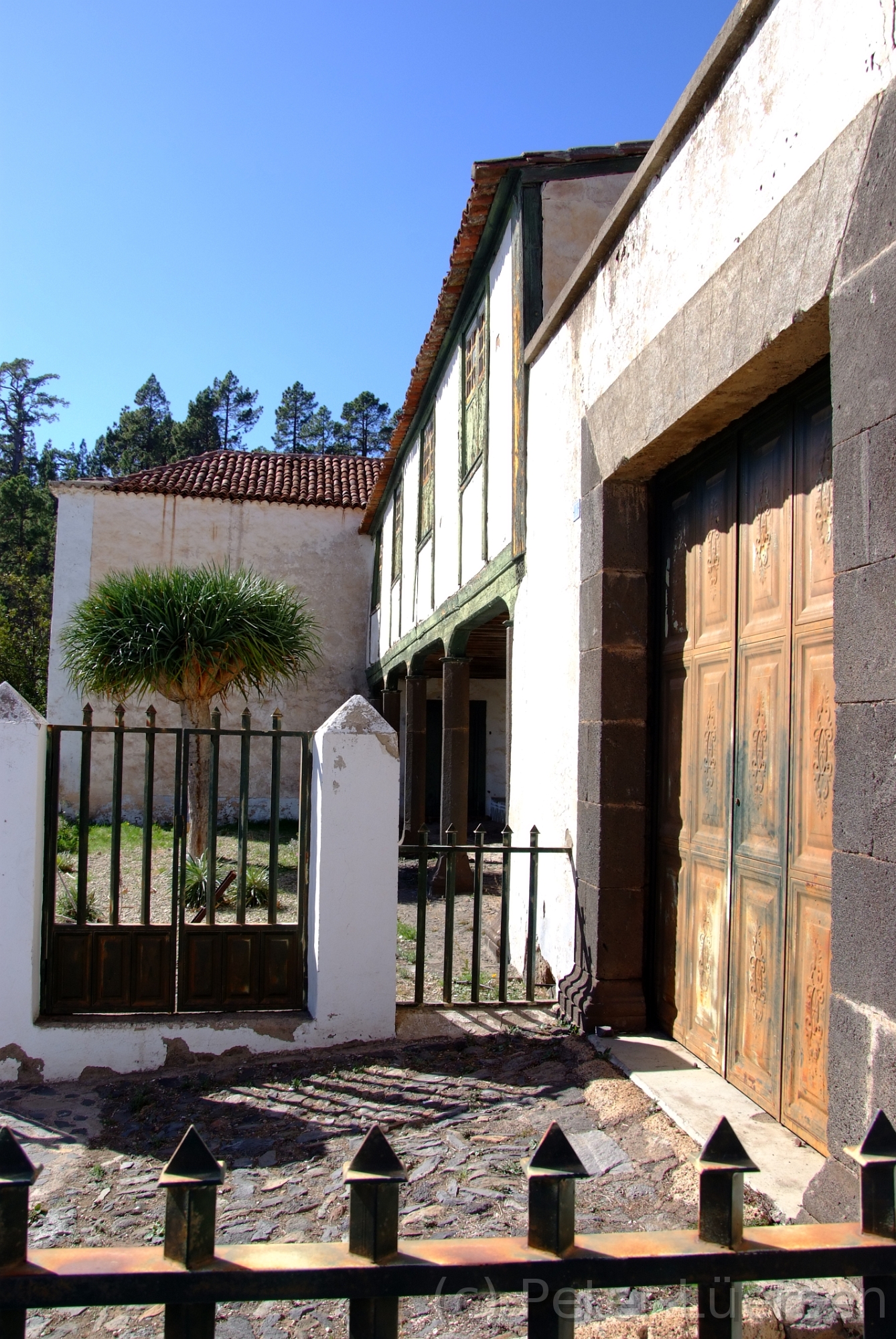 DSCF5192.JPG