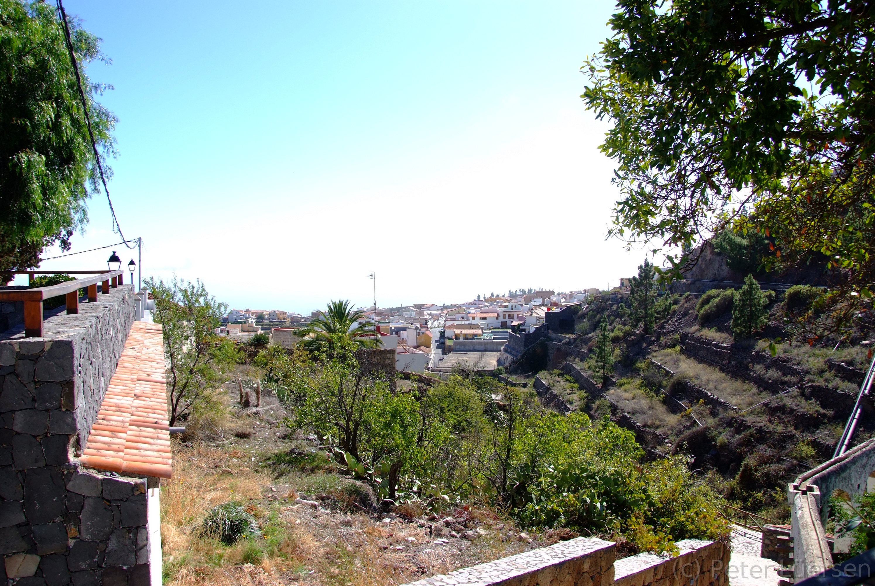DSCF5194.JPG