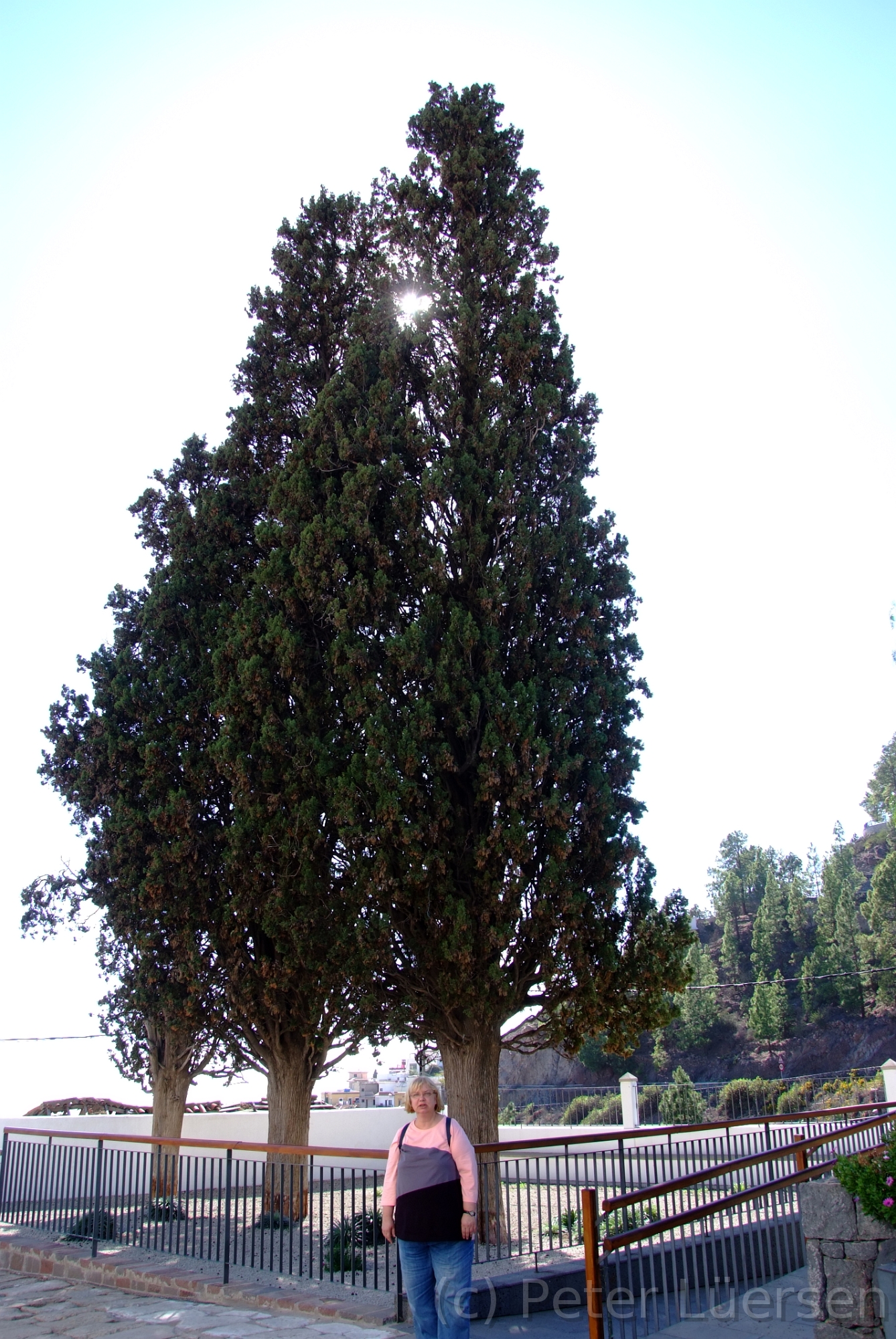 DSCF5195.JPG