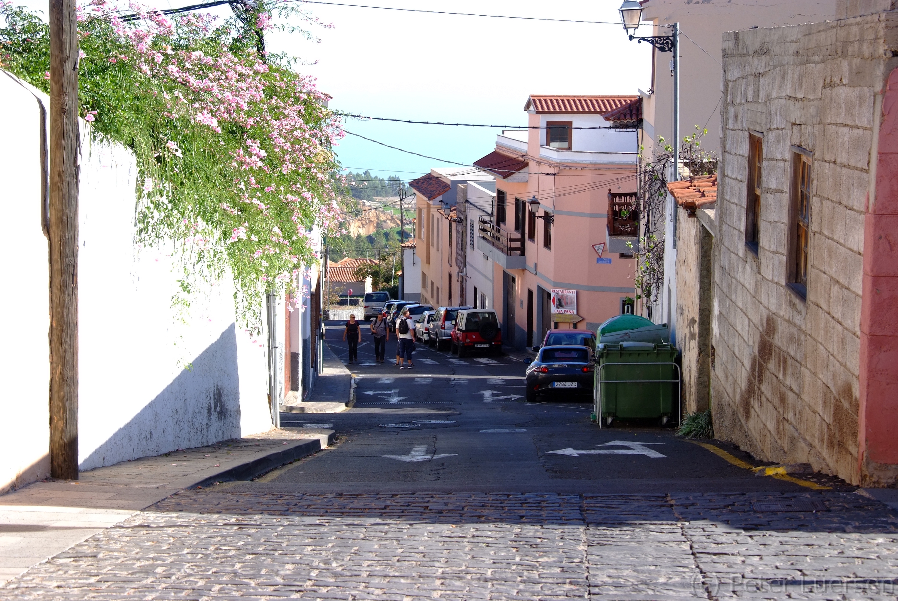 DSCF5206.JPG
