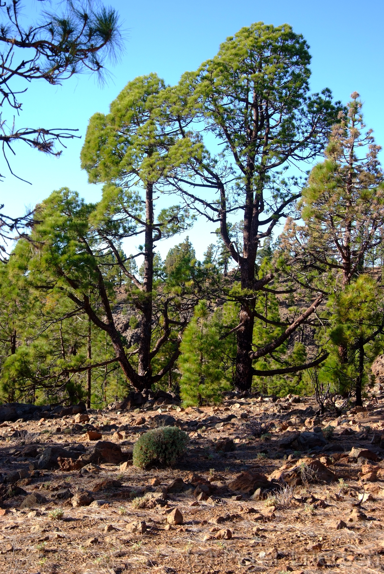 DSCF5220.JPG