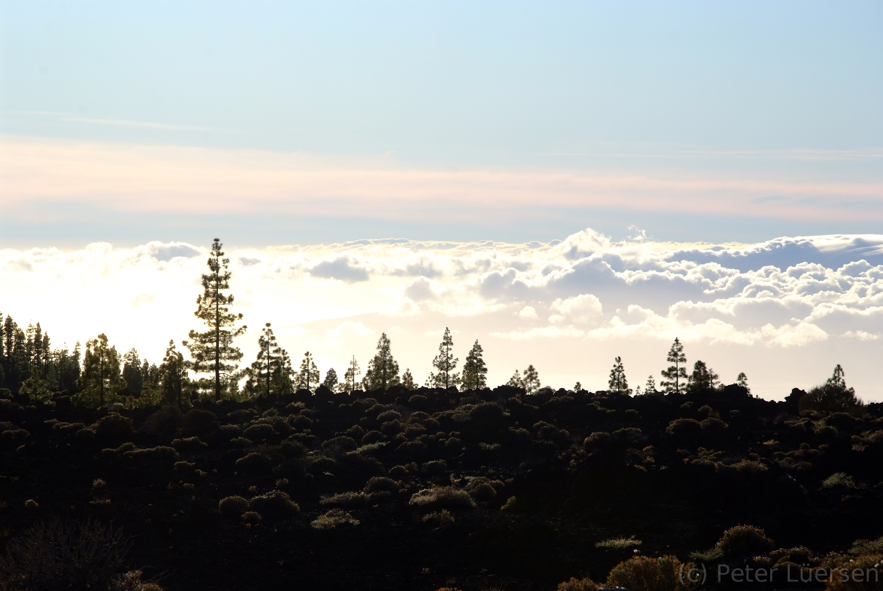DSCF5238.JPG