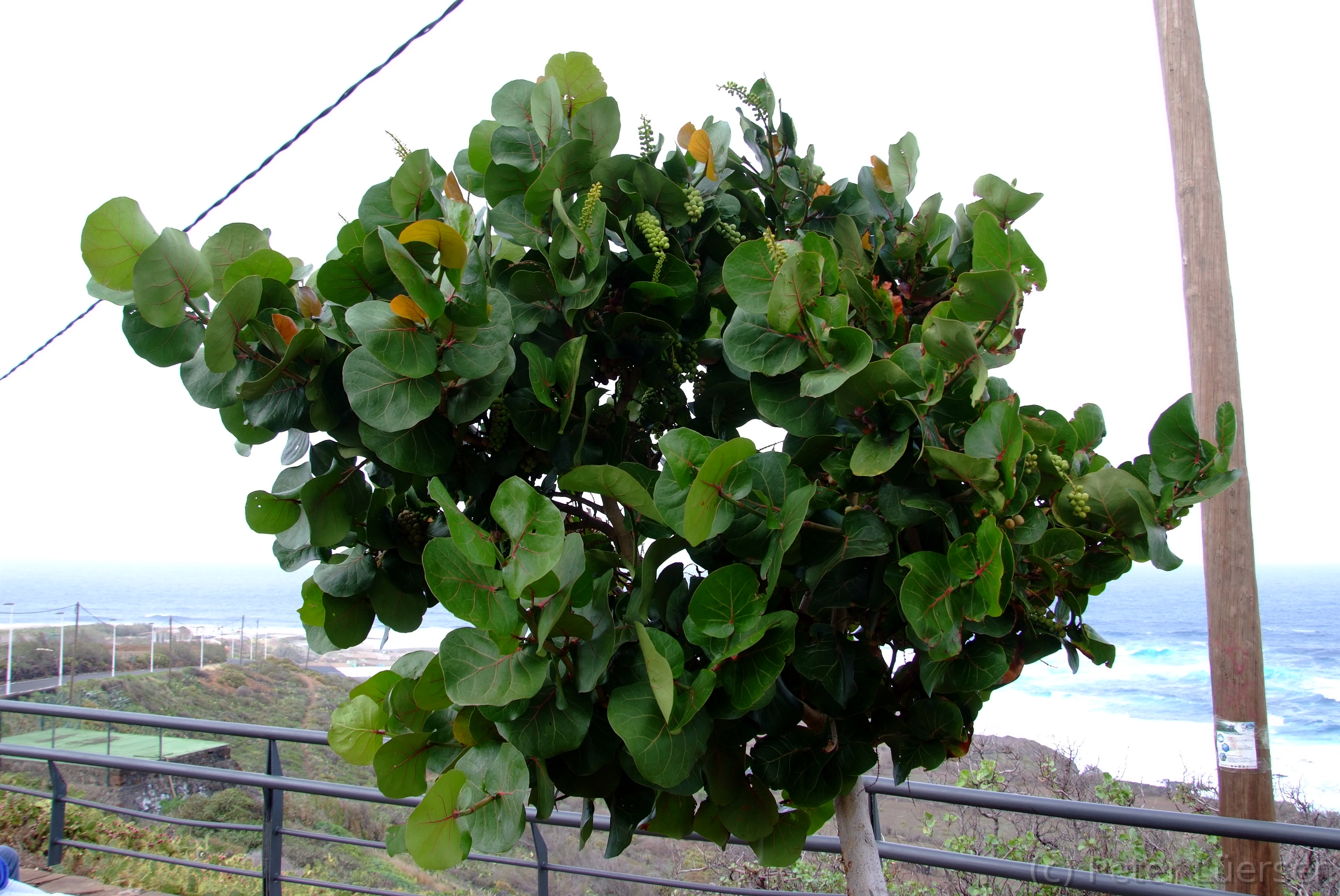 DSCF5263.JPG