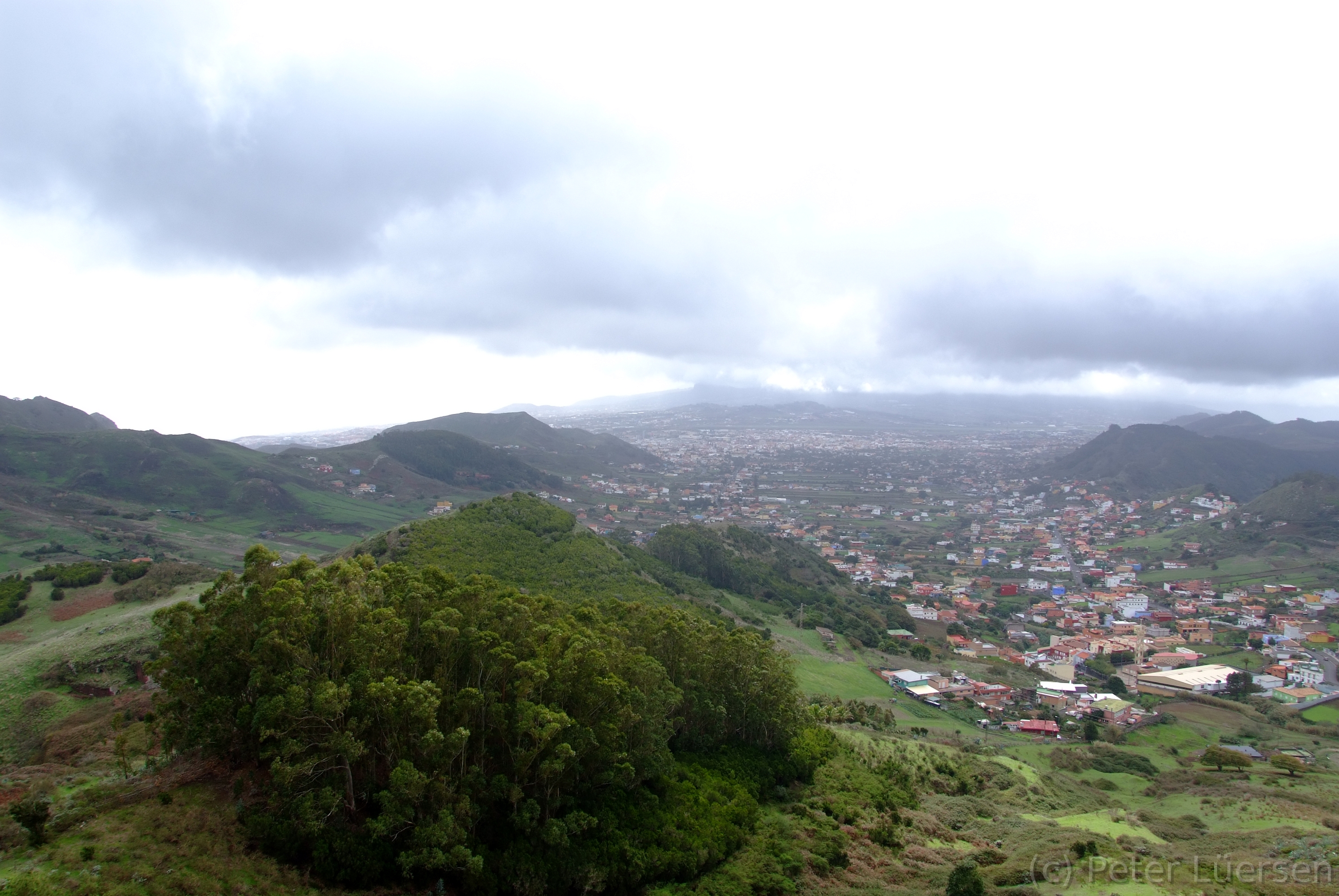 DSCF5286.JPG