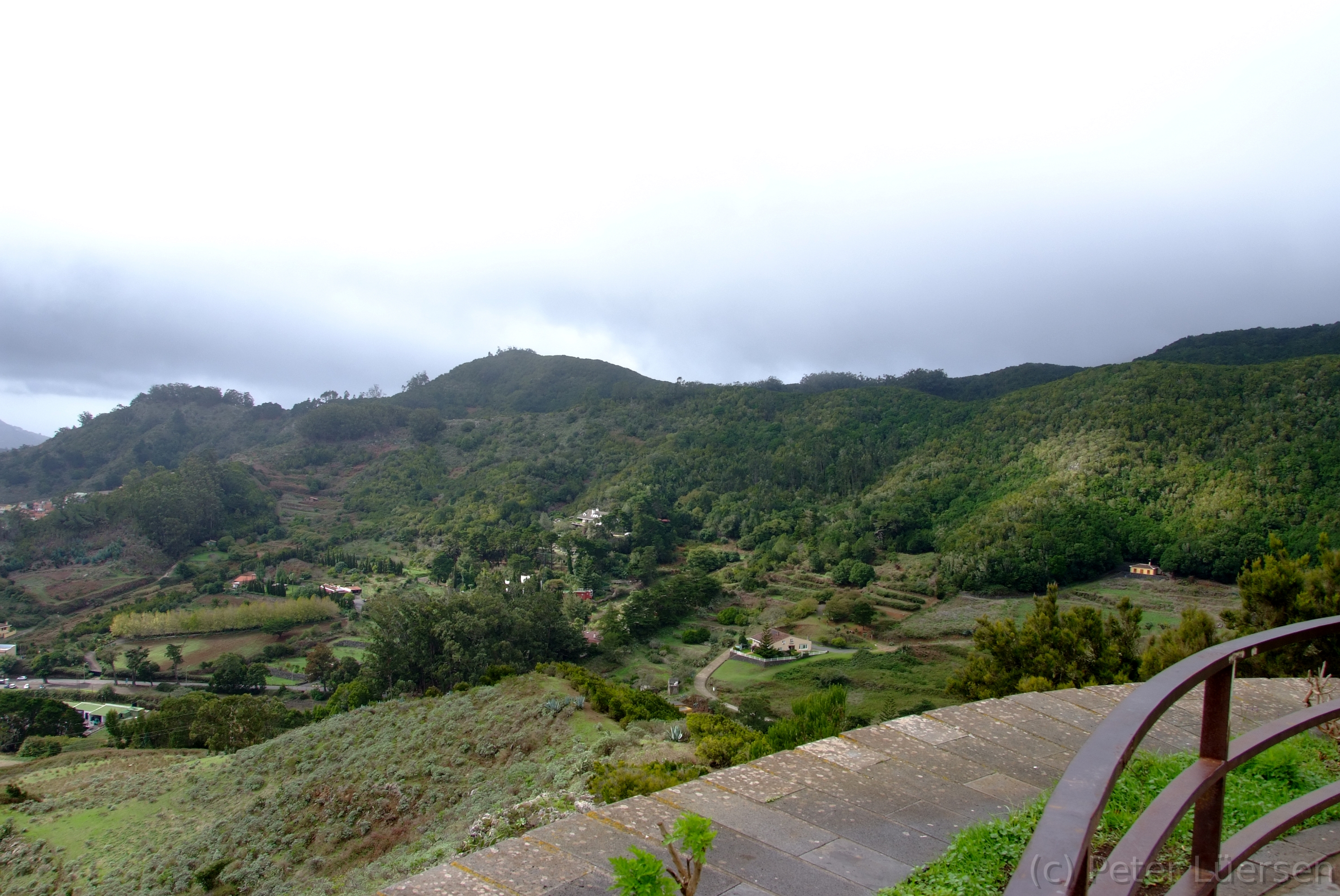 DSCF5289.JPG