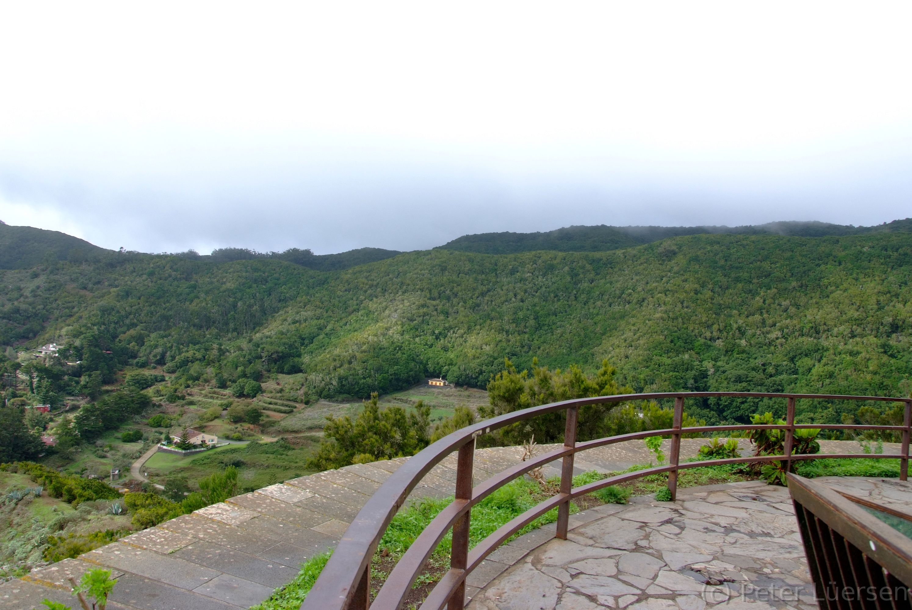 DSCF5290.JPG
