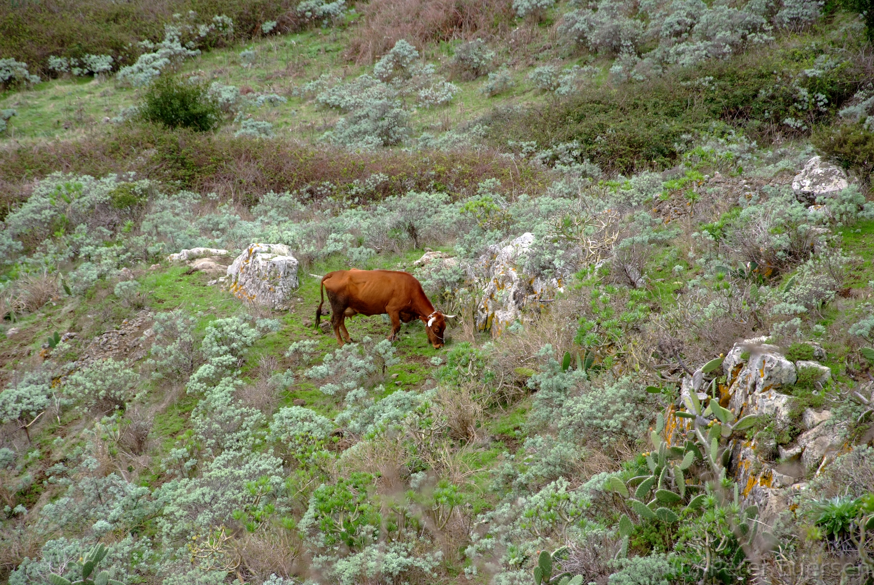 DSCF5293.JPG
