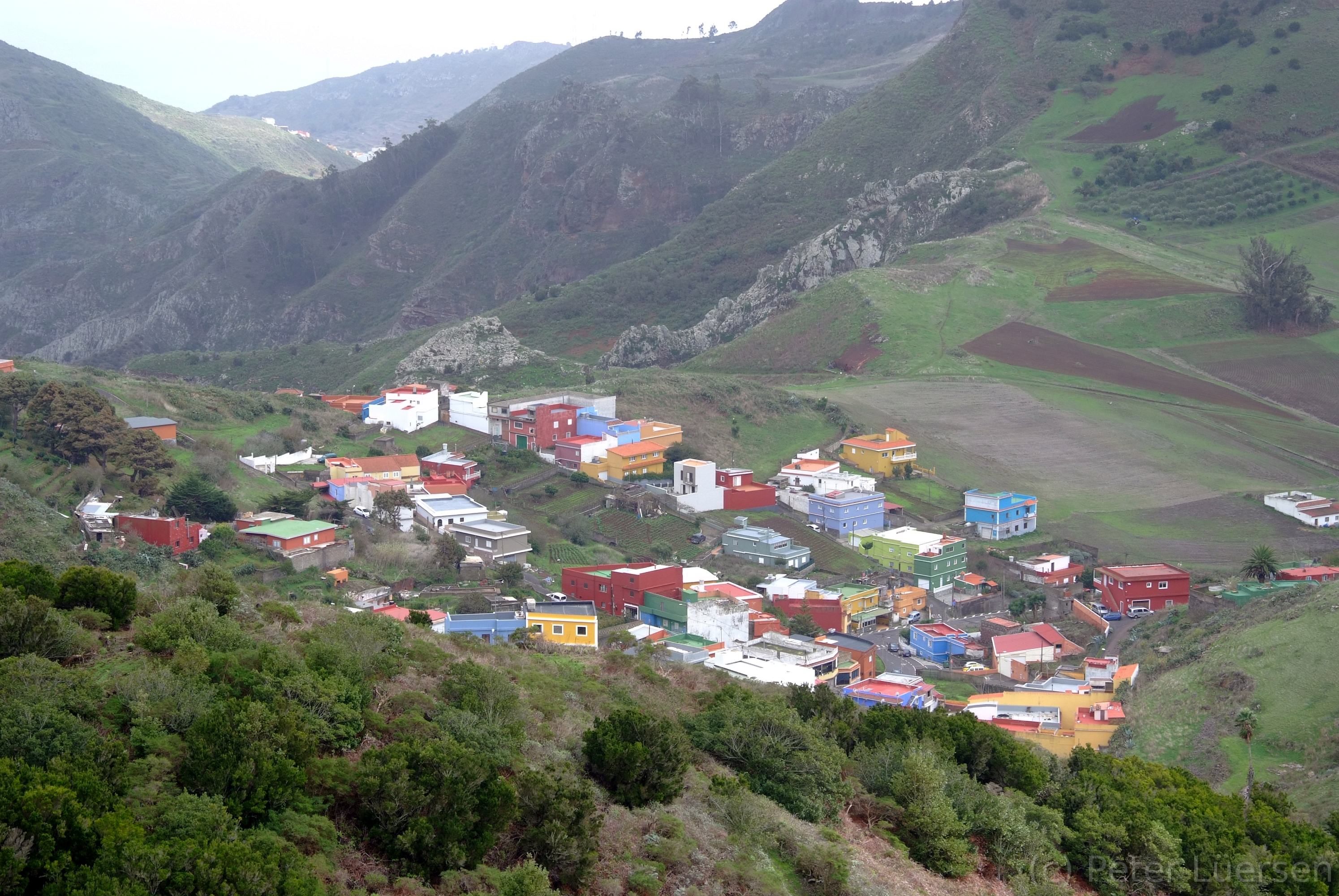 DSCF5295.JPG