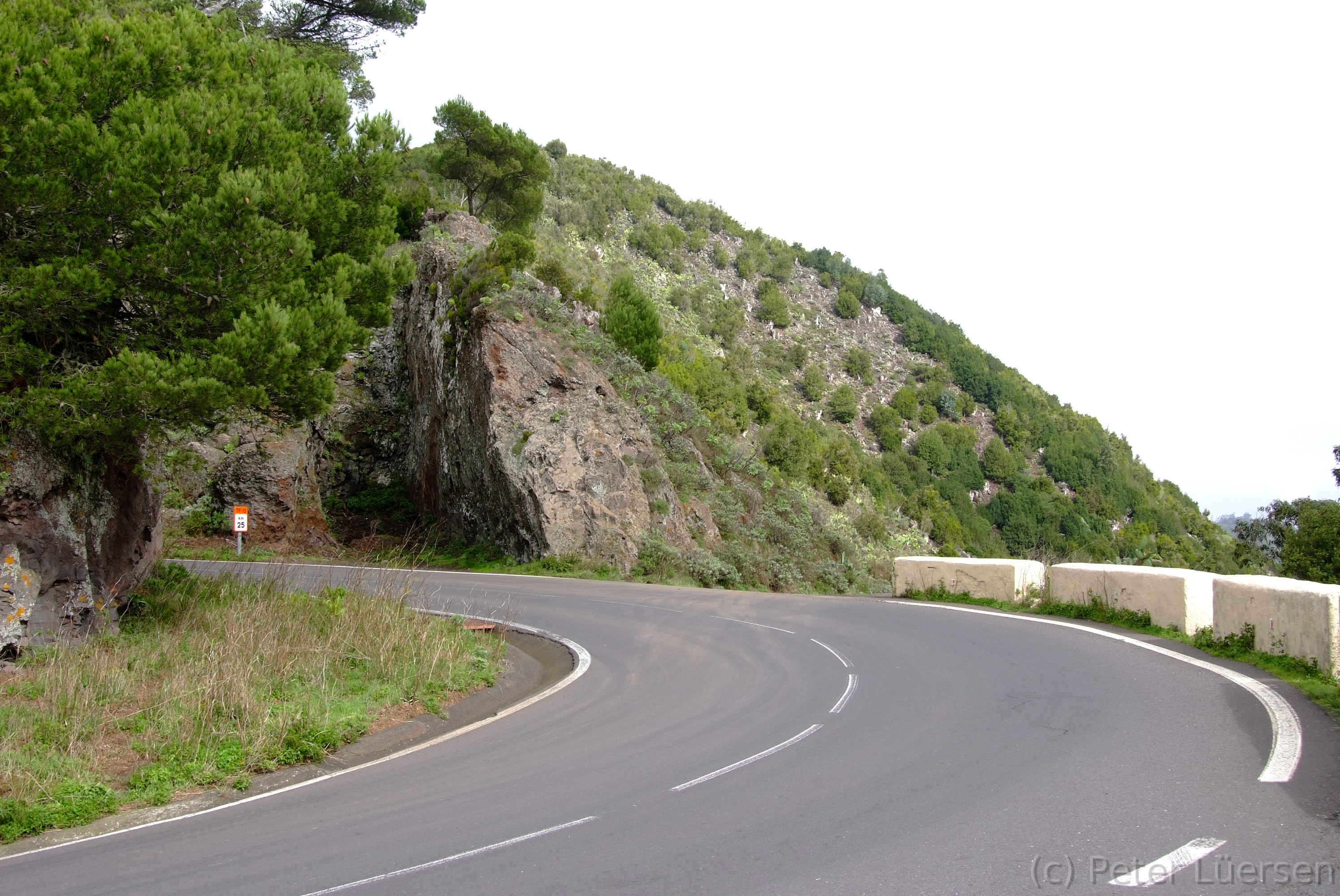DSCF5296.JPG