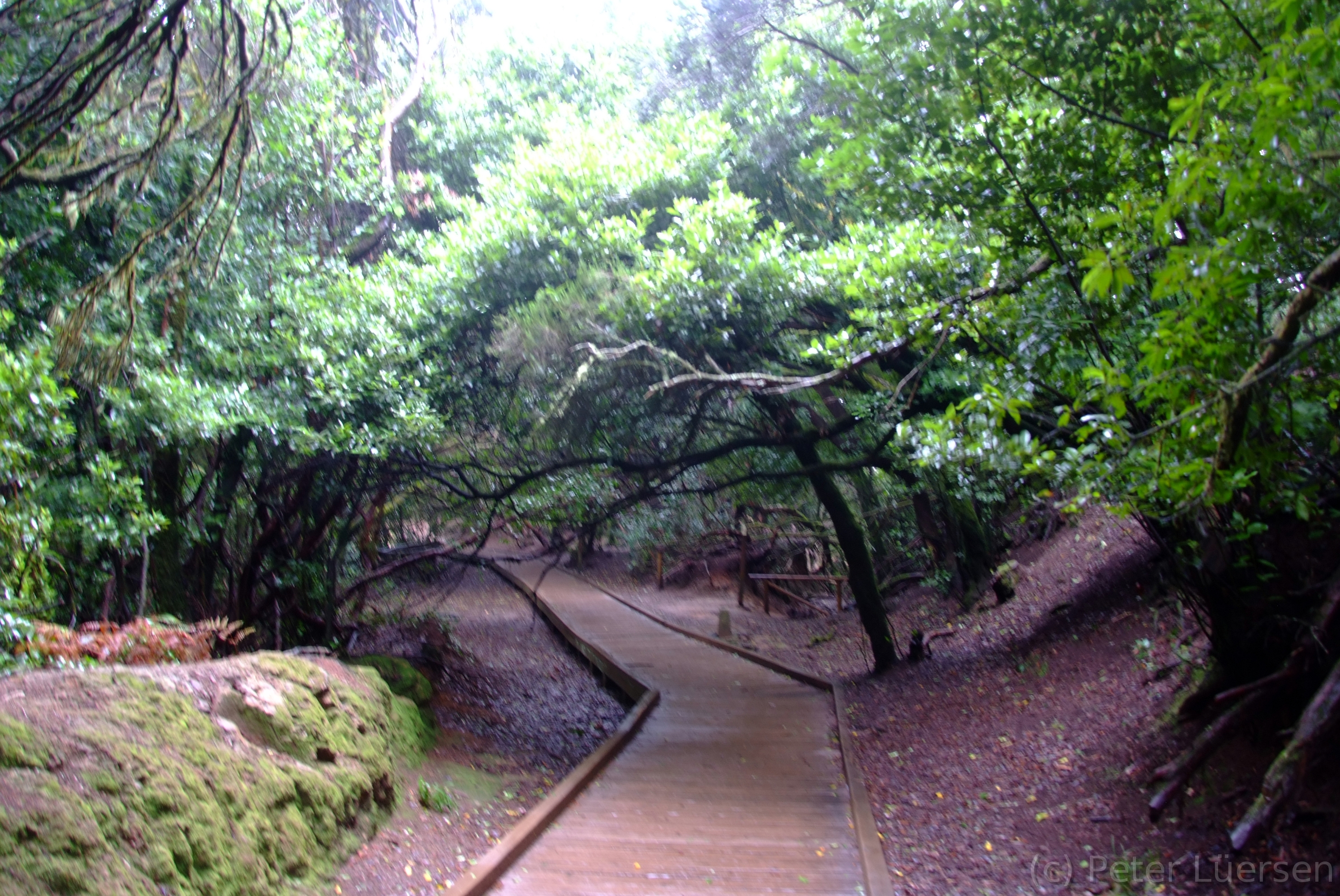 DSCF5301.JPG