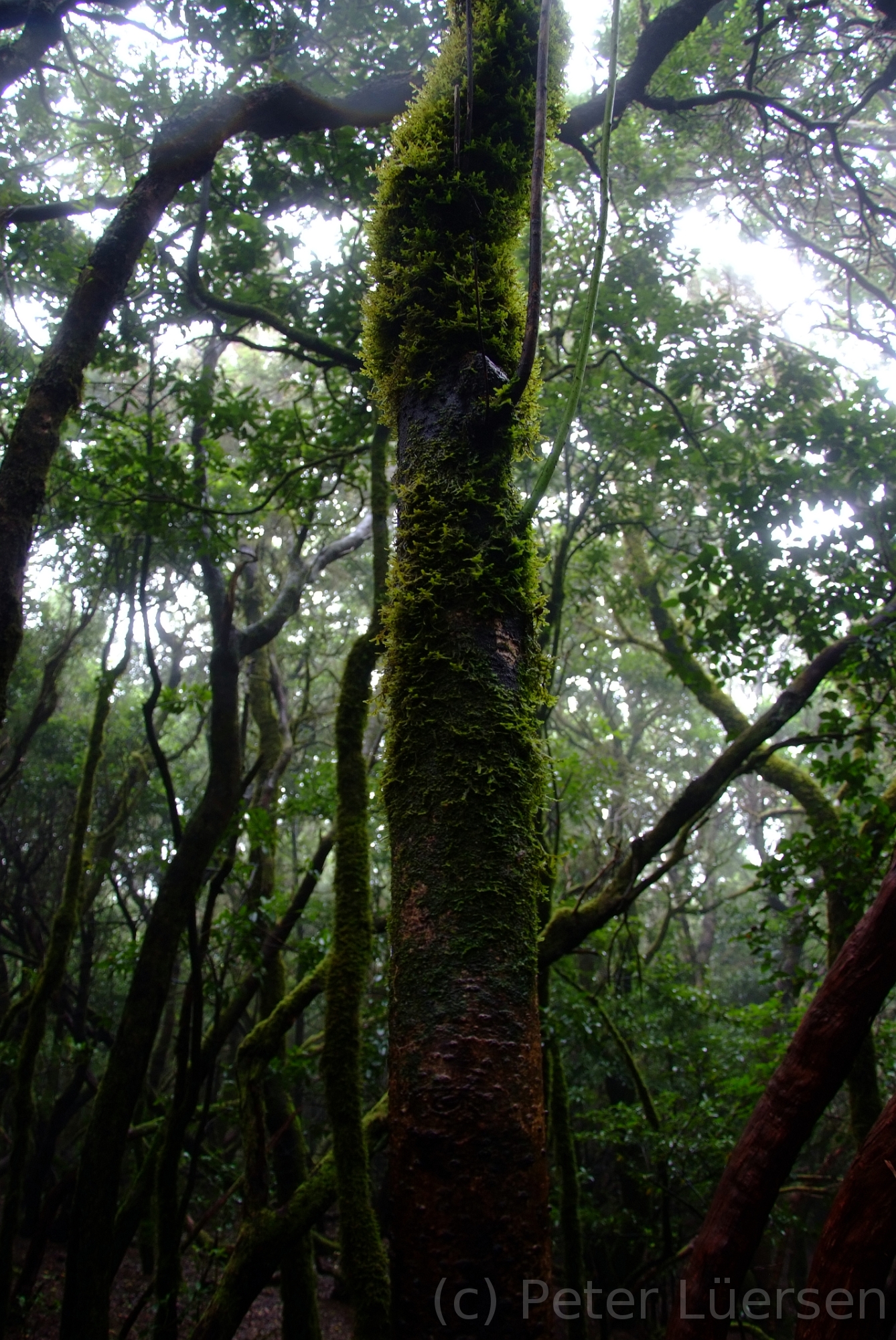 DSCF5303.JPG